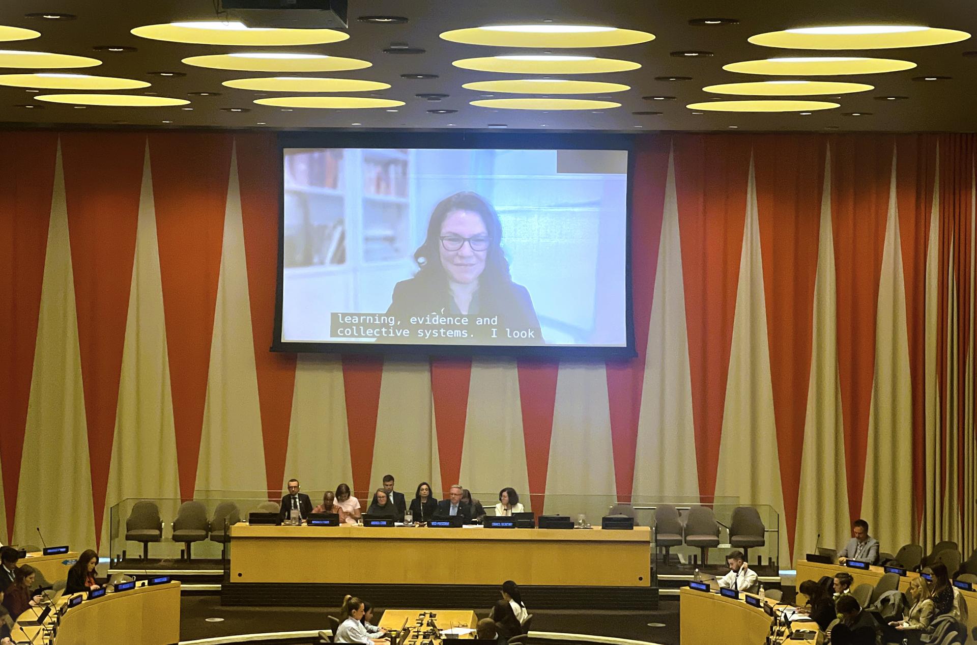 IEO Director presentation at ECOSOC OAS
