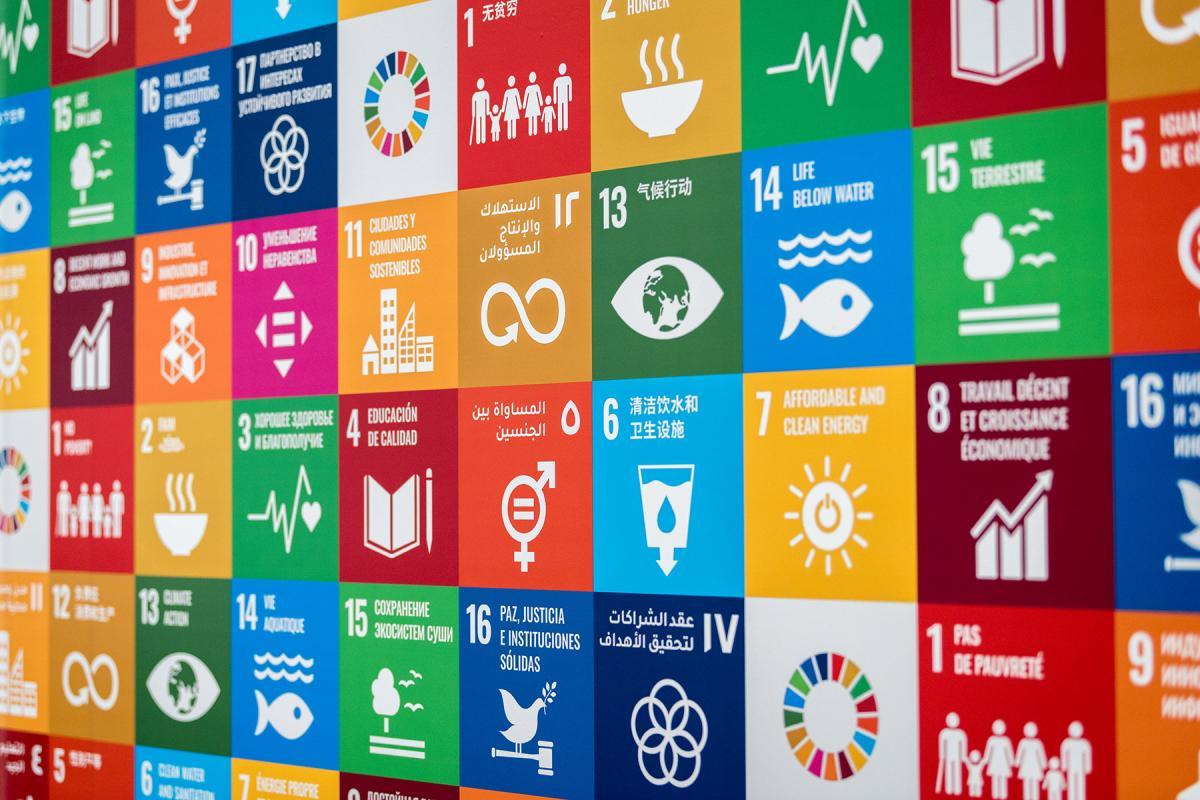 Colorful grid displaying various icons representing the Sustainable Development Goals.