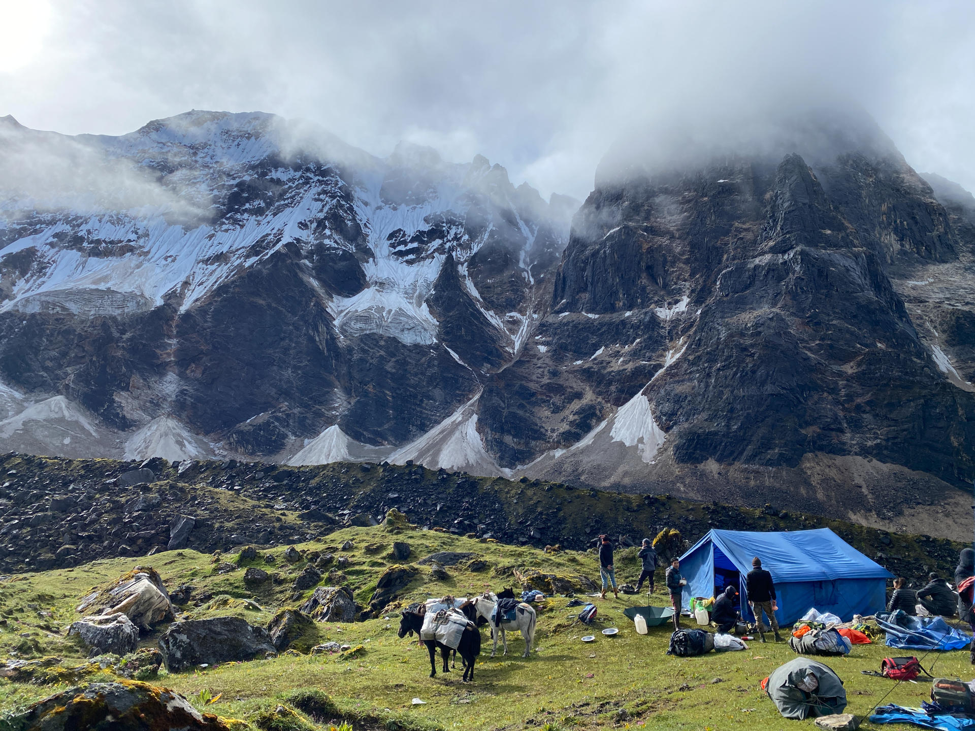 A blue tent sits on green grass with people and cows against a mountainous backdrop.