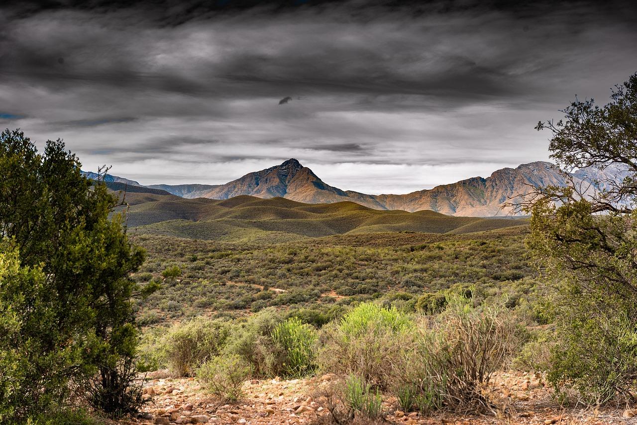 Rolling green hills with a mountain peak under a cloudy sky, framed by shrubs in the foreground.