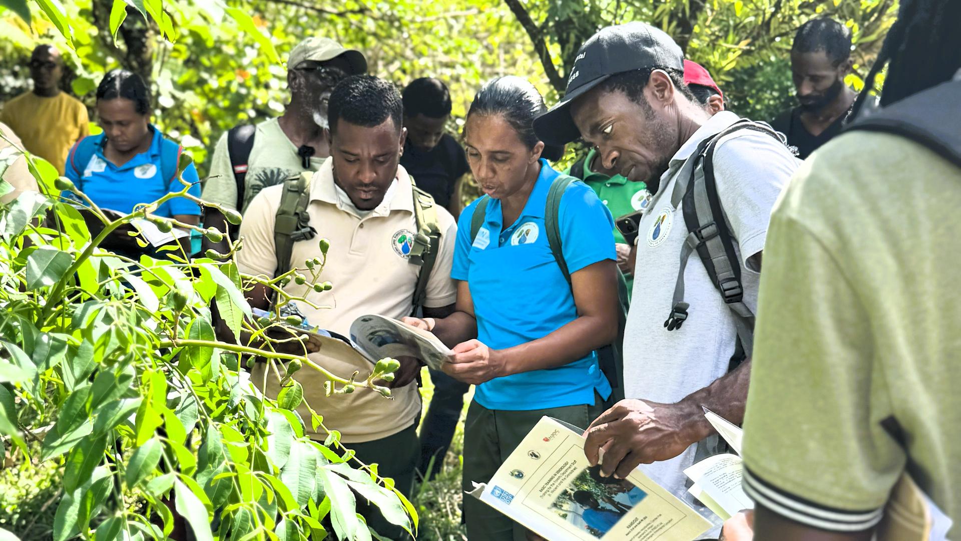 A group of people examining plants and notes in a lush, green setting.