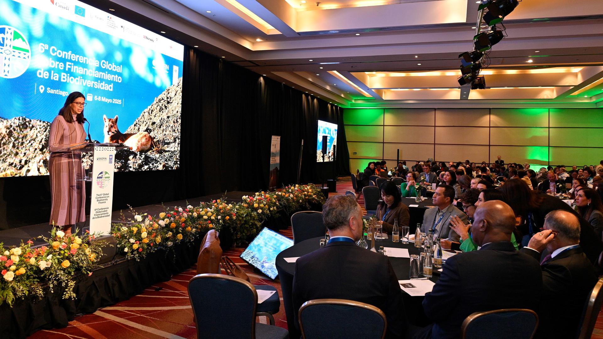 A speaker addresses a conference audience seated at tables, with a colorful backdrop and stage.