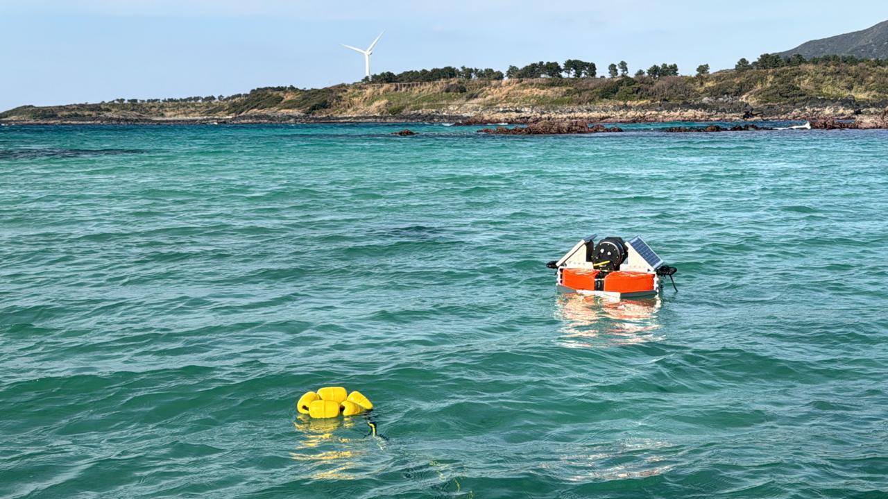 A person in a life jacket is floating in the ocean near a yellow buoy and a coastal landscape.
