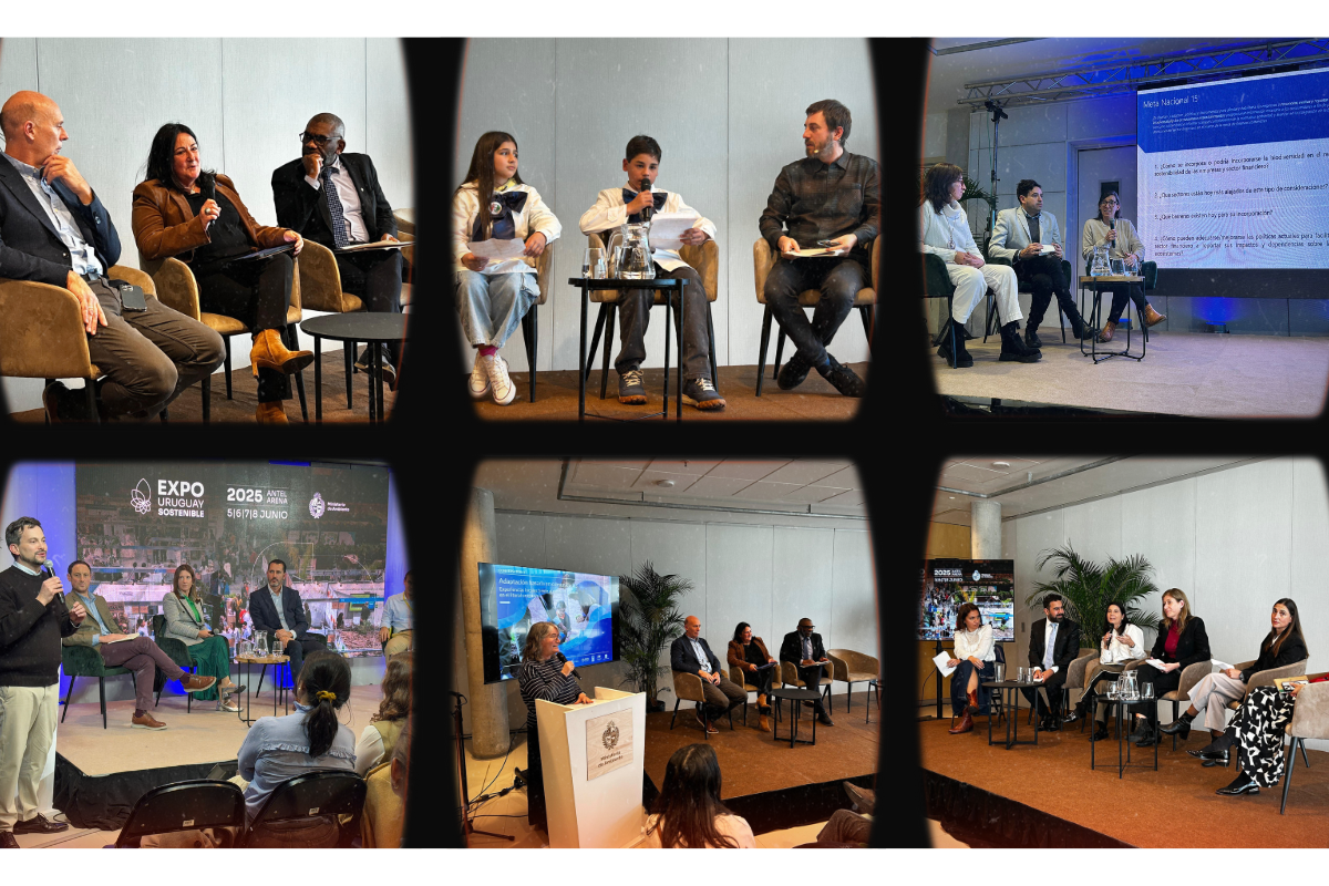 A collage of six panels showing a panel discussion with speakers and an audience in a conference setting.Expor 