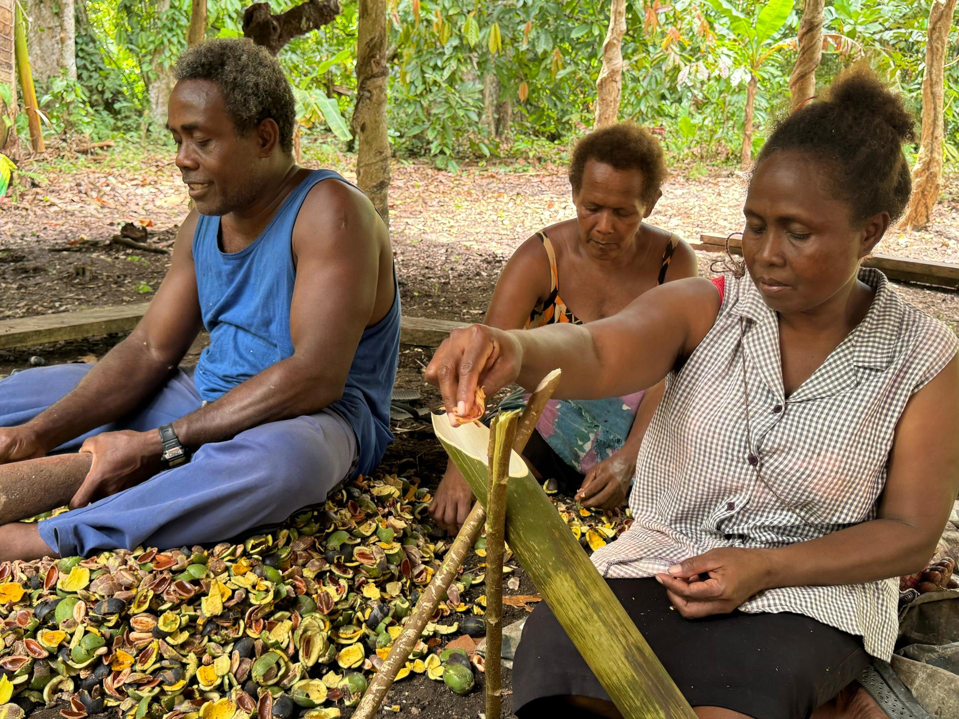 Three people working together in a lush, green setting, engaged in a task.