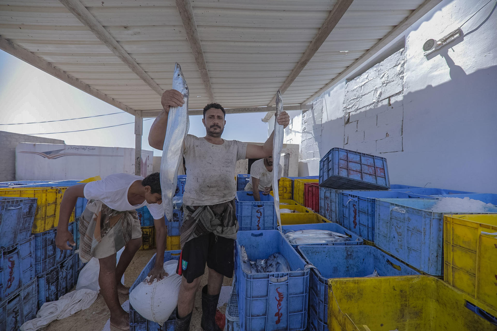 Two men hold large fish in a fish market, surrounded by colorful crates.