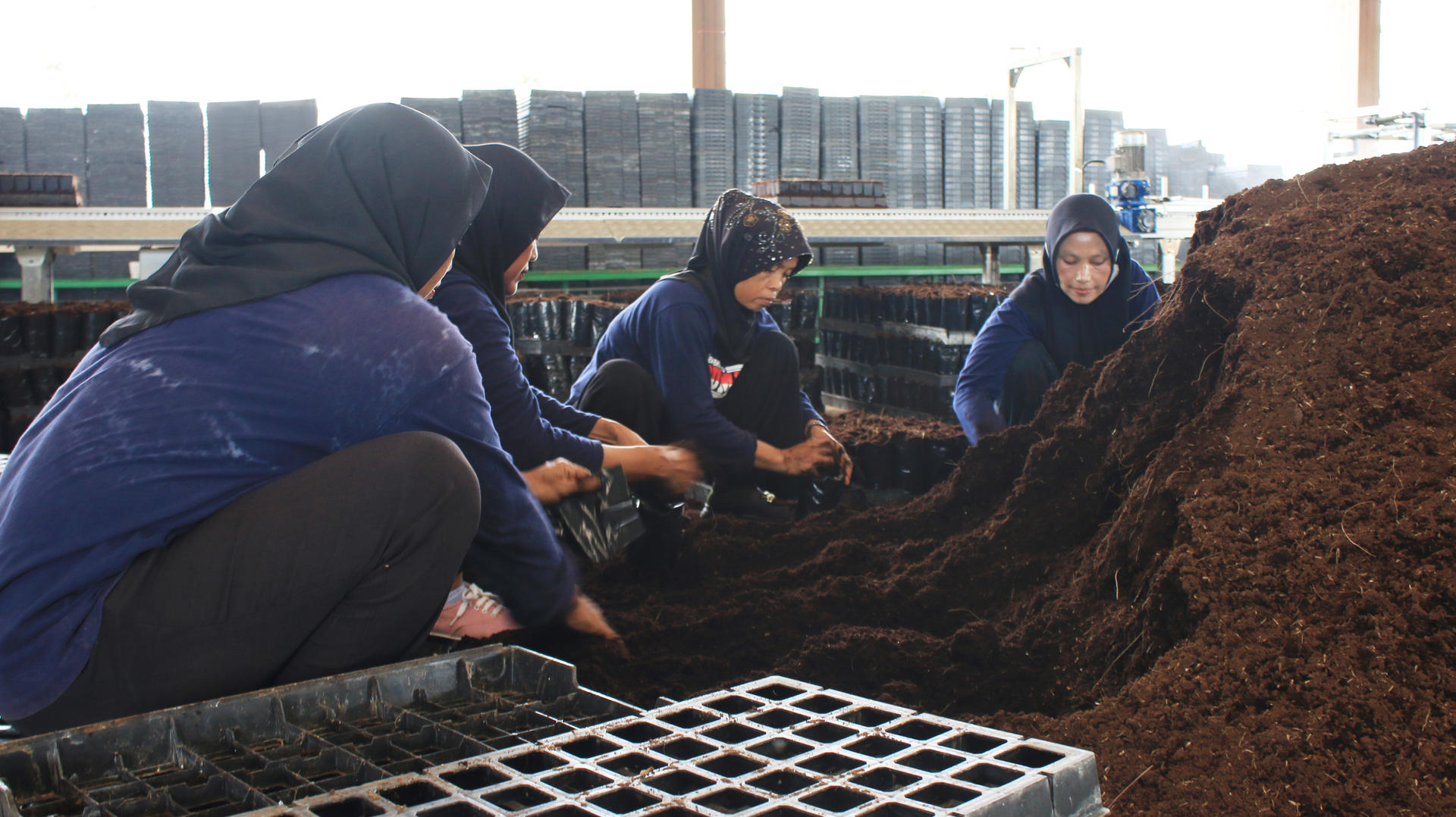 Women working in a greenhouse, tending to piles of soil and seedlings.