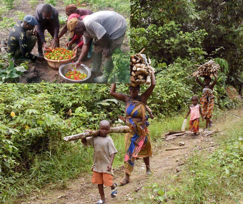 Two women carrying wood on their heads, while a group prepares food in a bowl nearby.