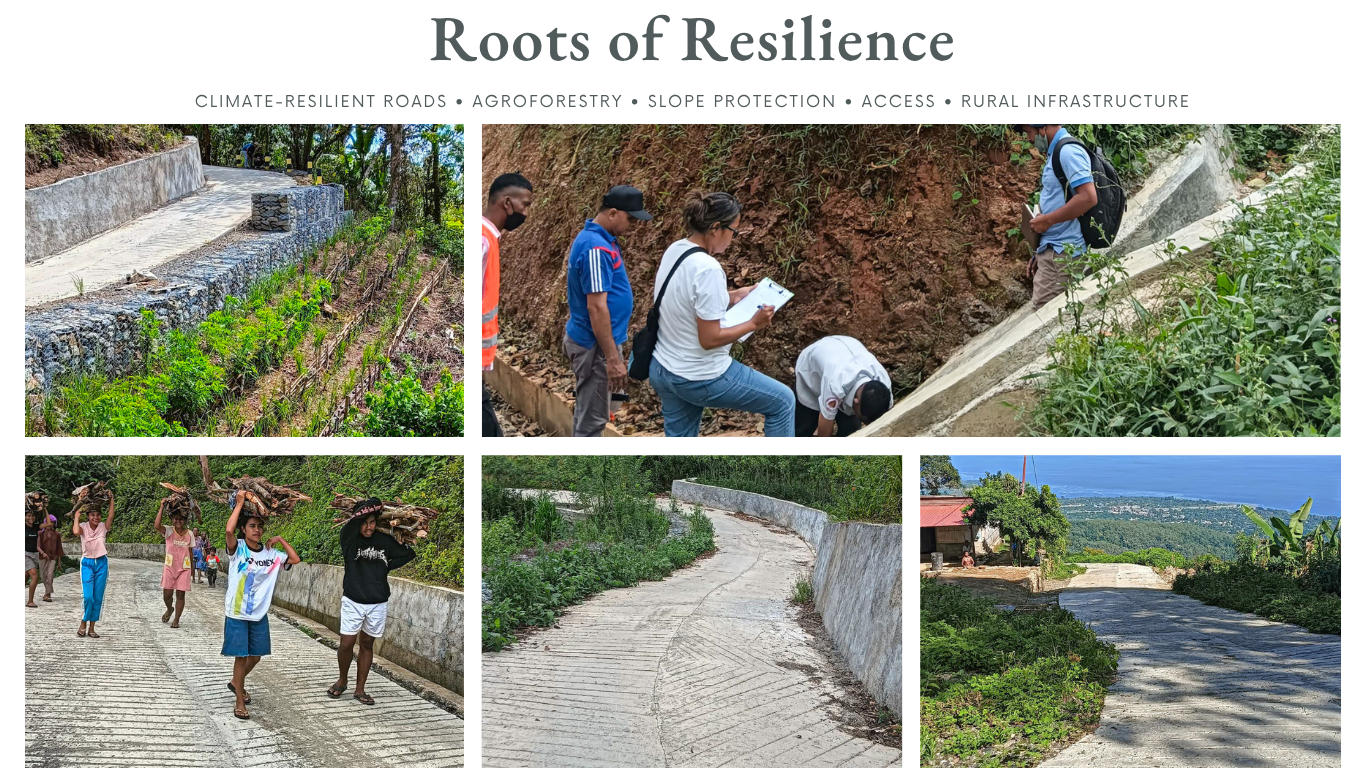 Collage showcasing people interacting with rural roads and landscapes, emphasizing resilience.