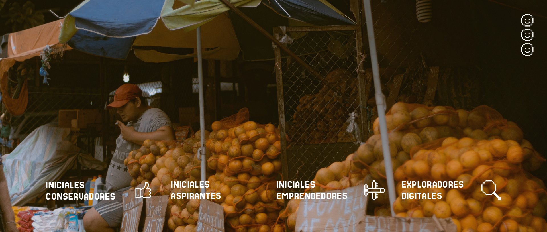 A market stall filled with orange fruit, with a vendor sitting nearby.