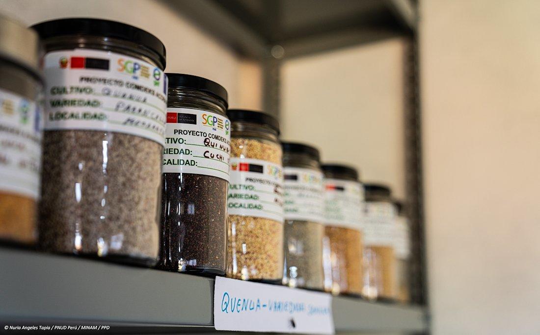 Glass jars filled with various spices on a shelf, labeled with names and colors.