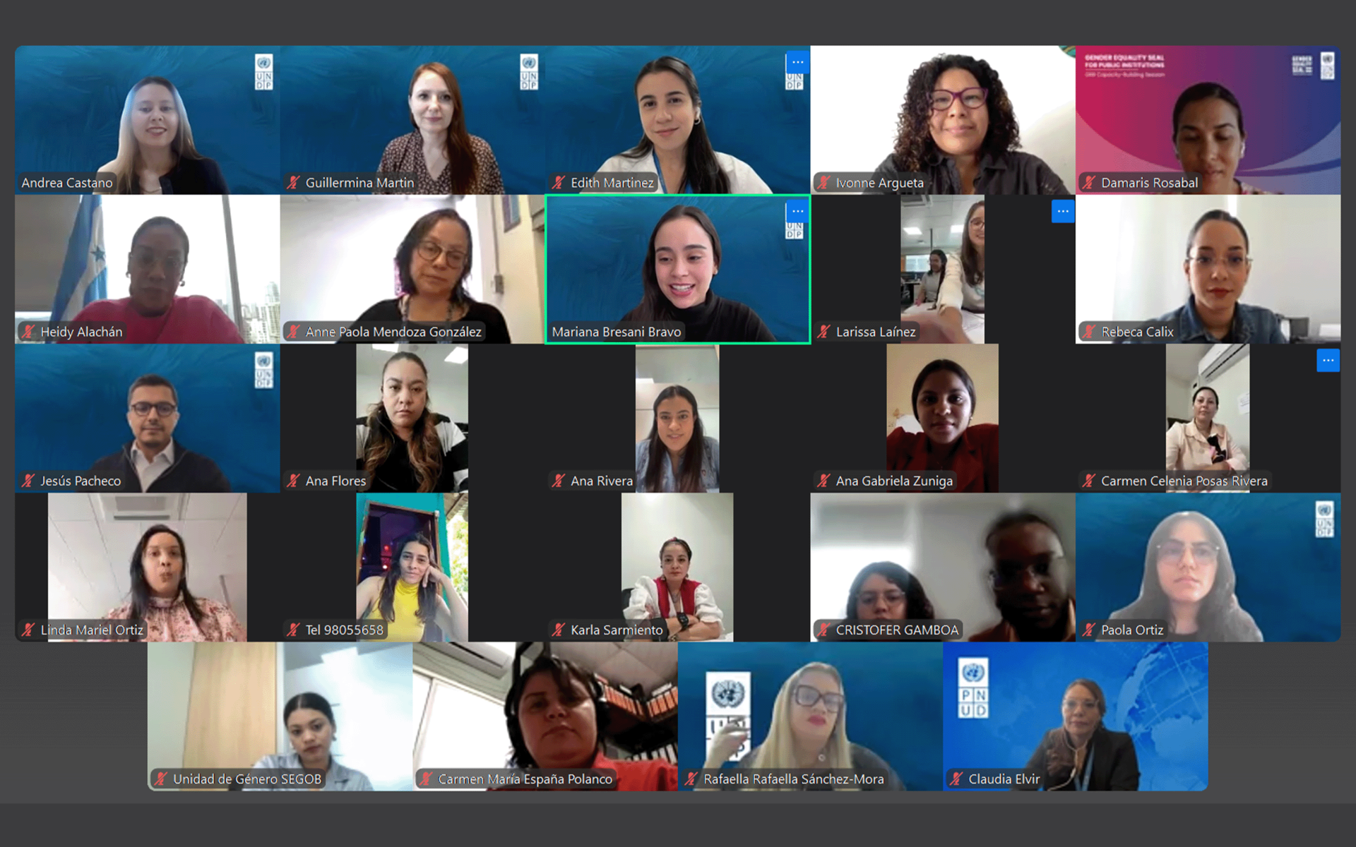 Participantes del webinar acerca de presupuestación sensible al género en instituciones públicas