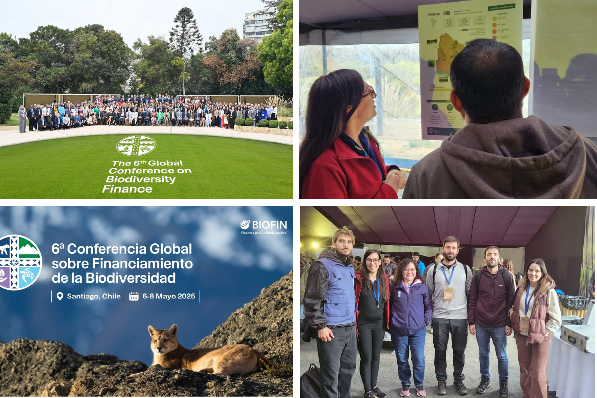A collage featuring a conference scene, a presentation, a wildlife image, and a group photo.