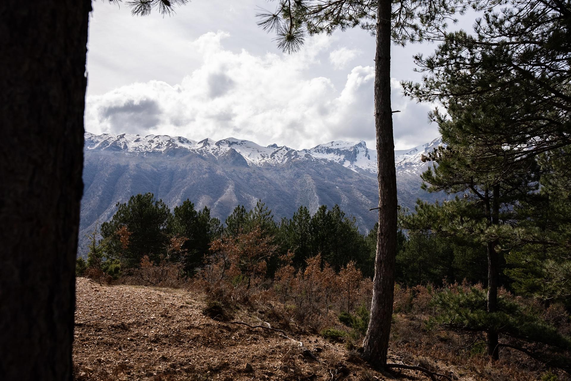 Snow-capped mountains rise above a forest with trees and a cloudy sky.