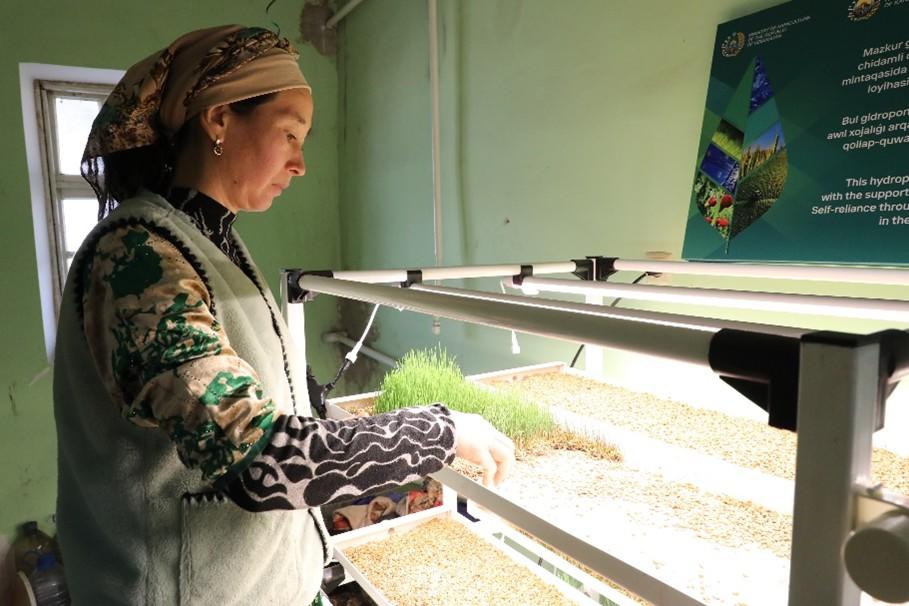 A woman tending to seedlings in a bright room with green walls and a plant growth setup.