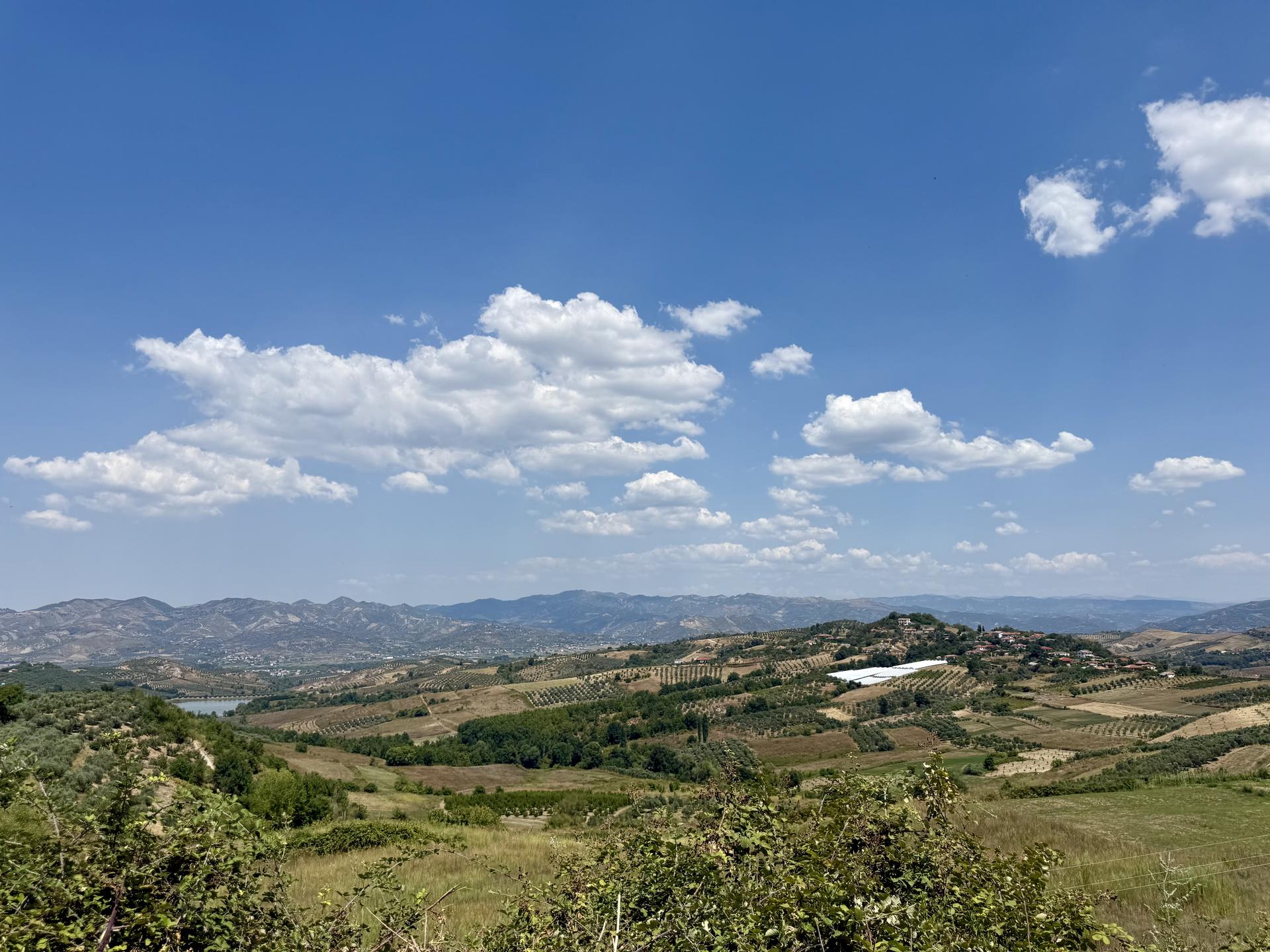 How Sweden’s Support Helped Darsia Olive Oil Grow Beyond Lushnja