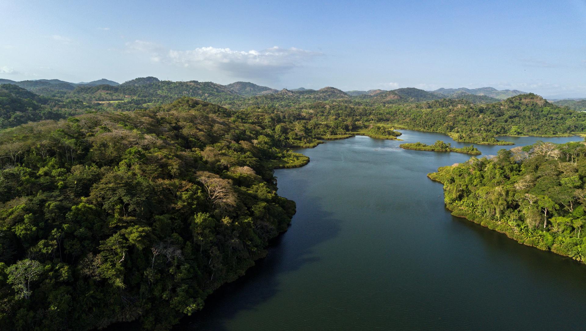 Vista de un río rodeado de vegetación