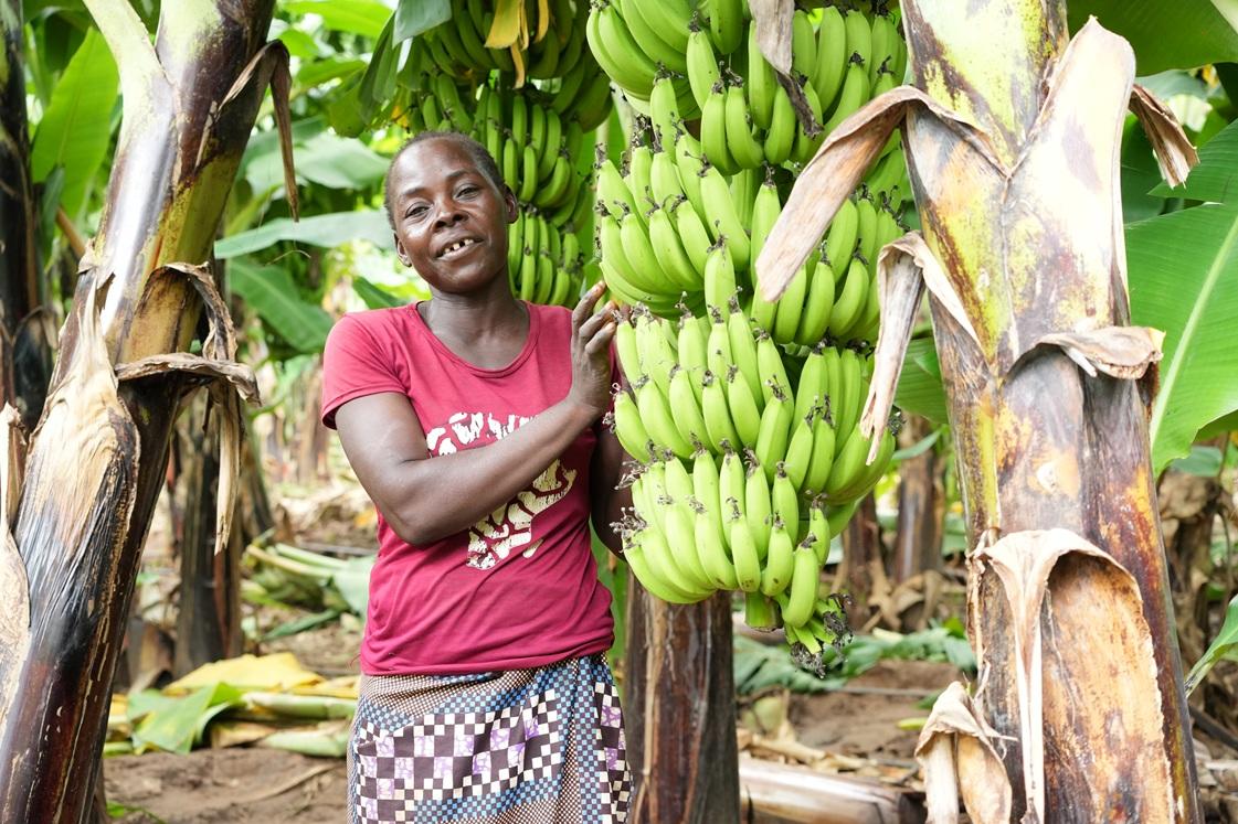 Woman standing in banana field.