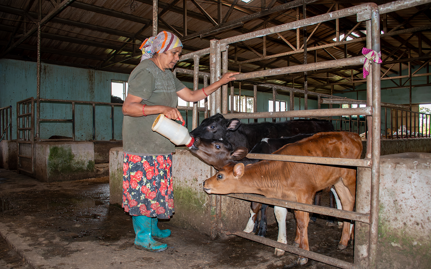 Improved Livestock GHG Emissions Tracking