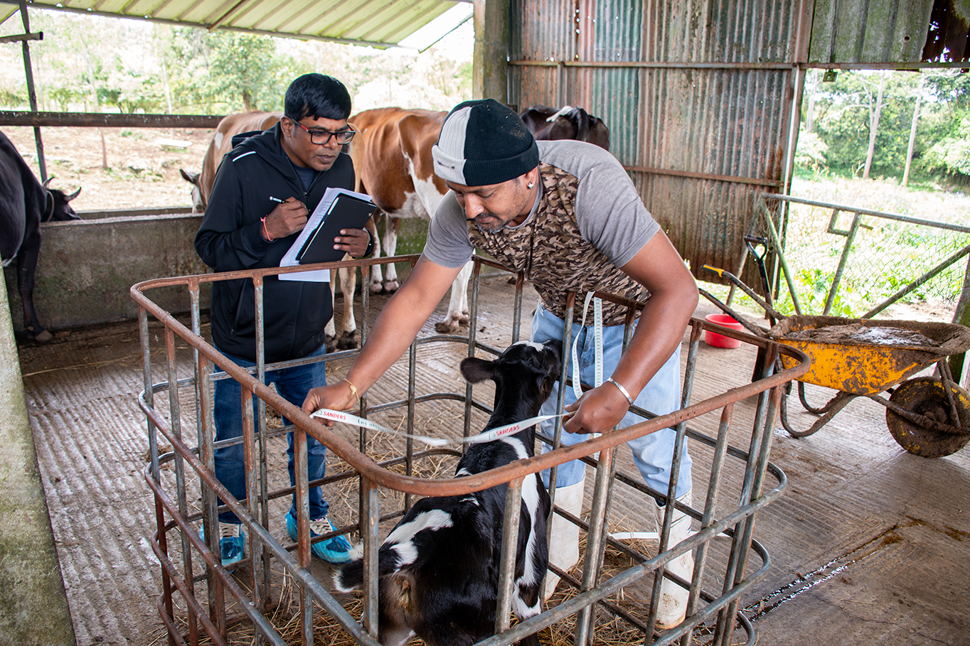 Improved Livestock GHG Emissions Tracking