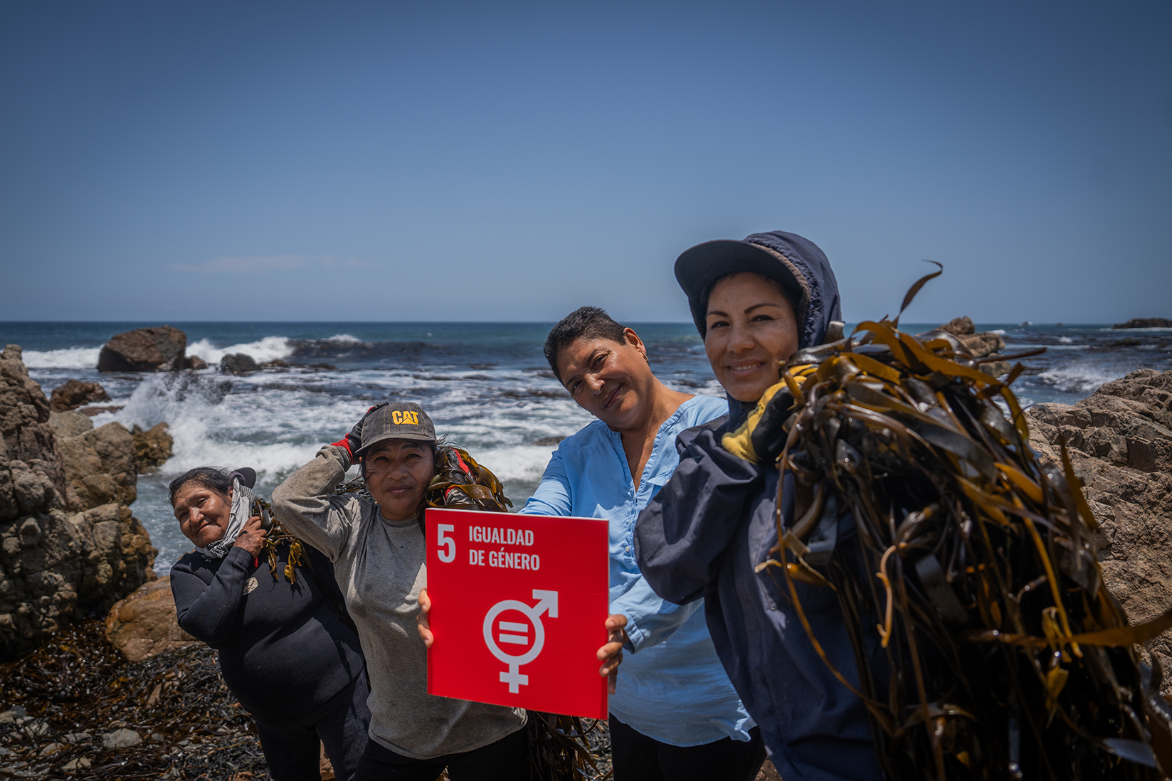 Four people on a rocky shoreline, holding a red sign by the ocean.