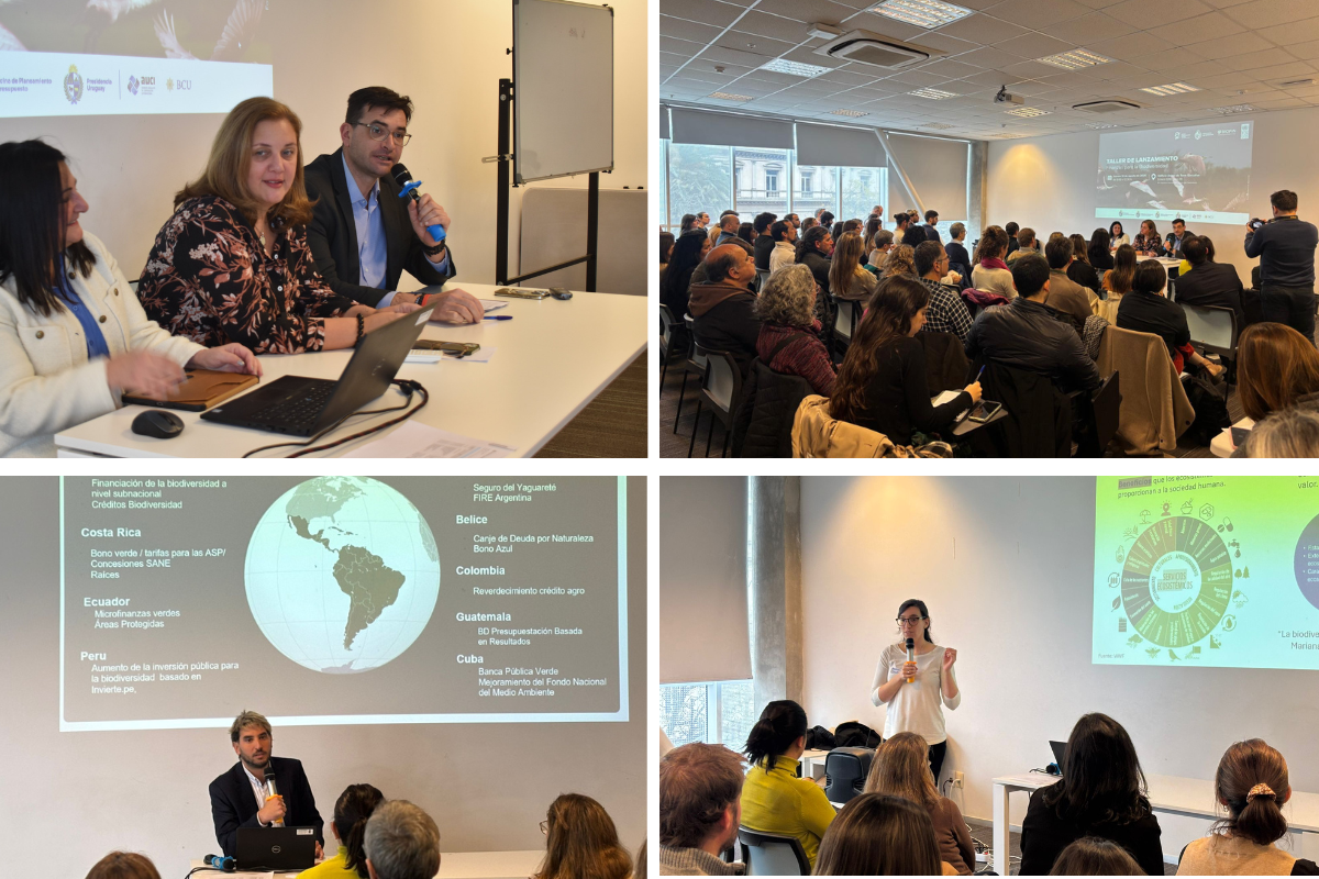 Collage de cuatro imágenes sobre el lanzamiento de Biofin