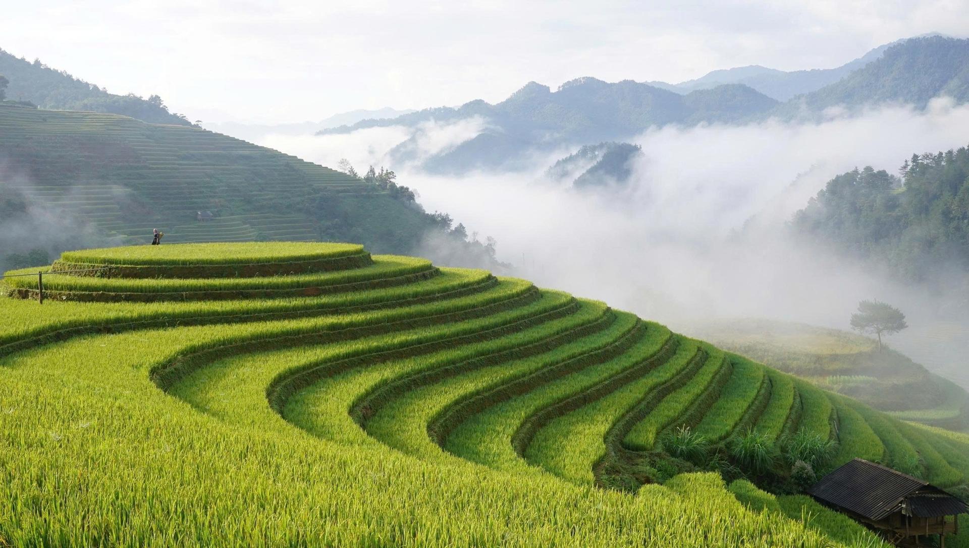 Photo: Curved green rice terraces on rolling hills with a misty valley and distant mountains.