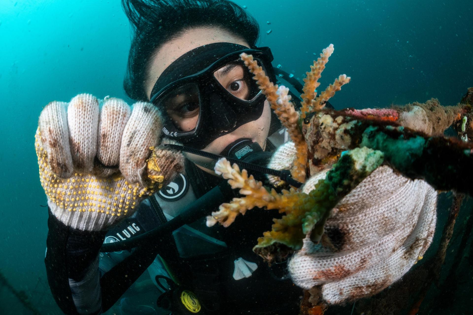 Photograph of scuba diver in mask and gloves inspecting coral underwater.