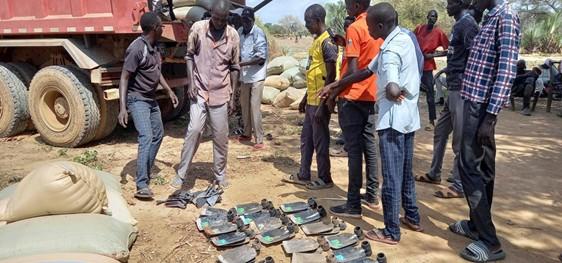 People inspect a row of fish laid out on dusty ground beside sacks and a truck.