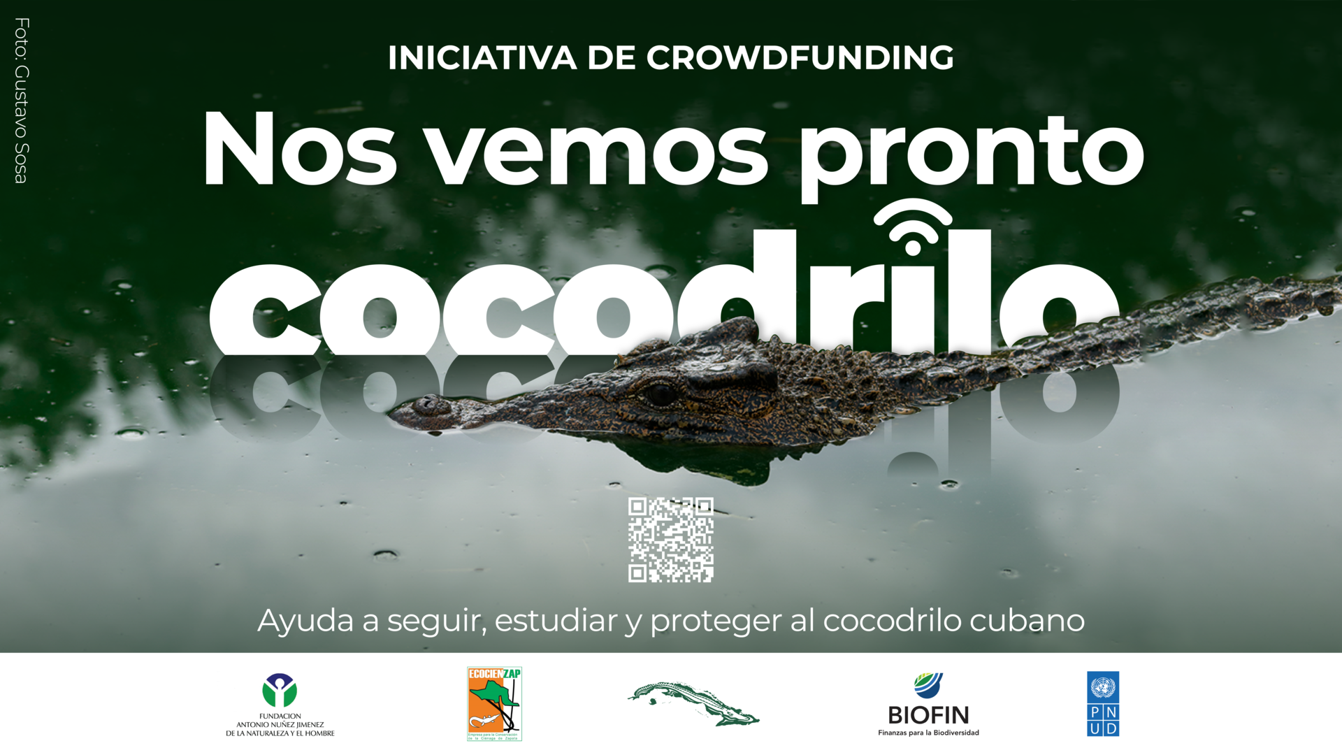Crowdfunding banner showing a white crocodile on a green background with Nos vemos pronto cocodrilo.