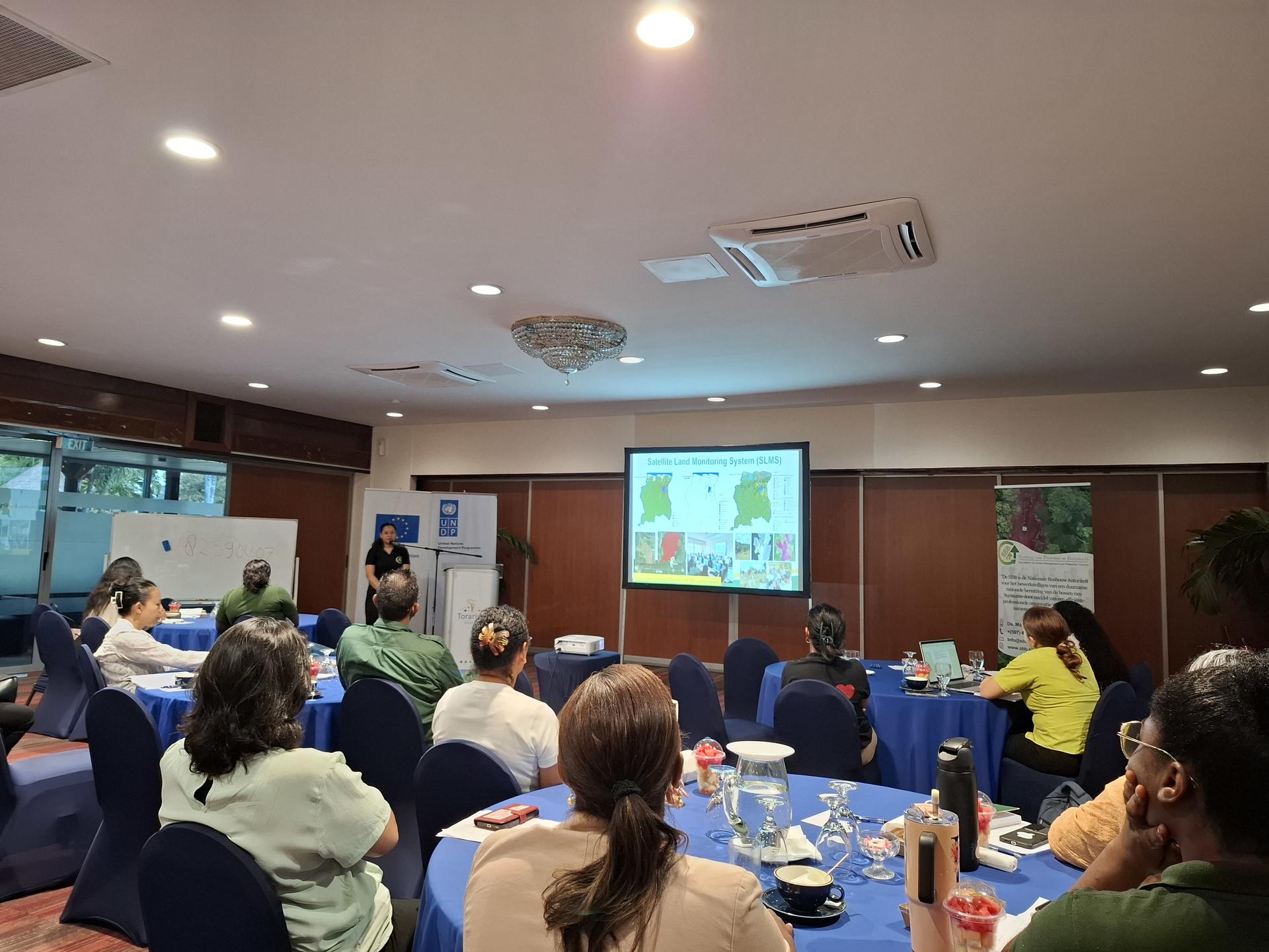 presentatie Mangrove project 