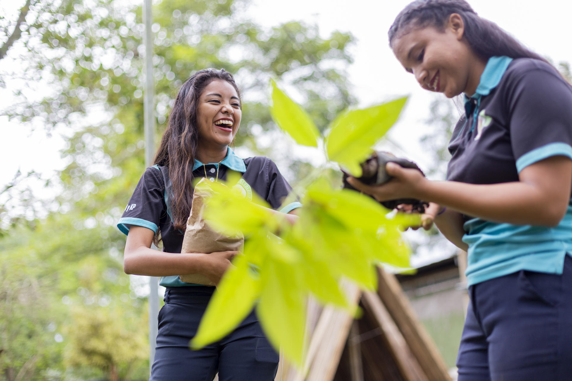Youth4Climate_Initiative