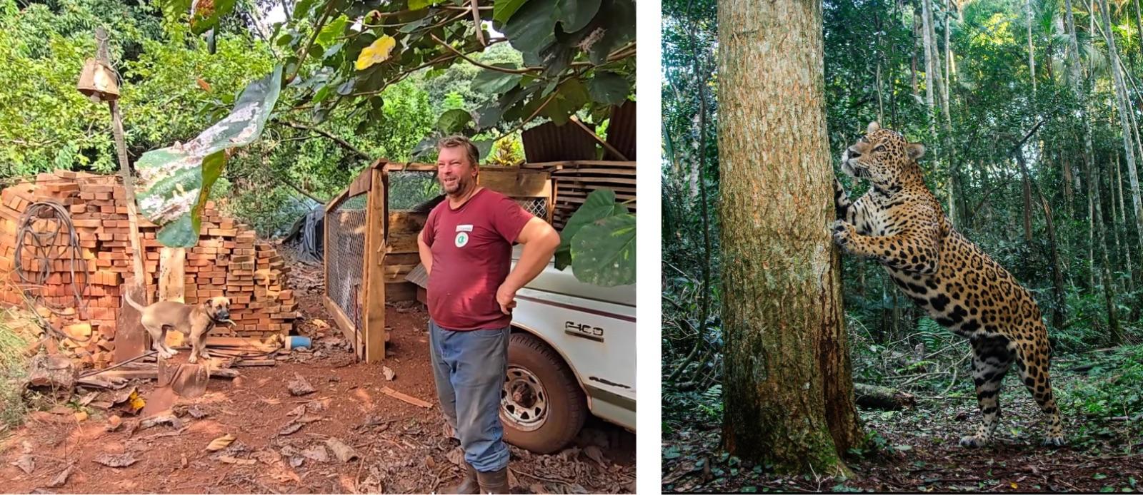 Two-panel: left, man in red beside a tall giraffe at a zoo; right, young giraffe in a forest.