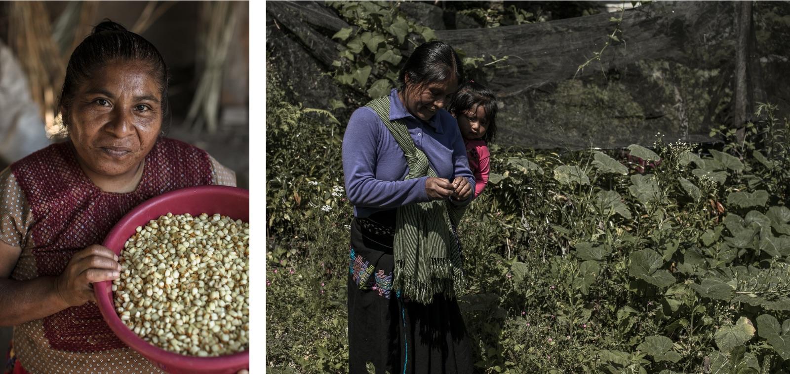 Two-panel photo: left, person in maroon with bowl of light seeds; right, woman with child in a garden.
