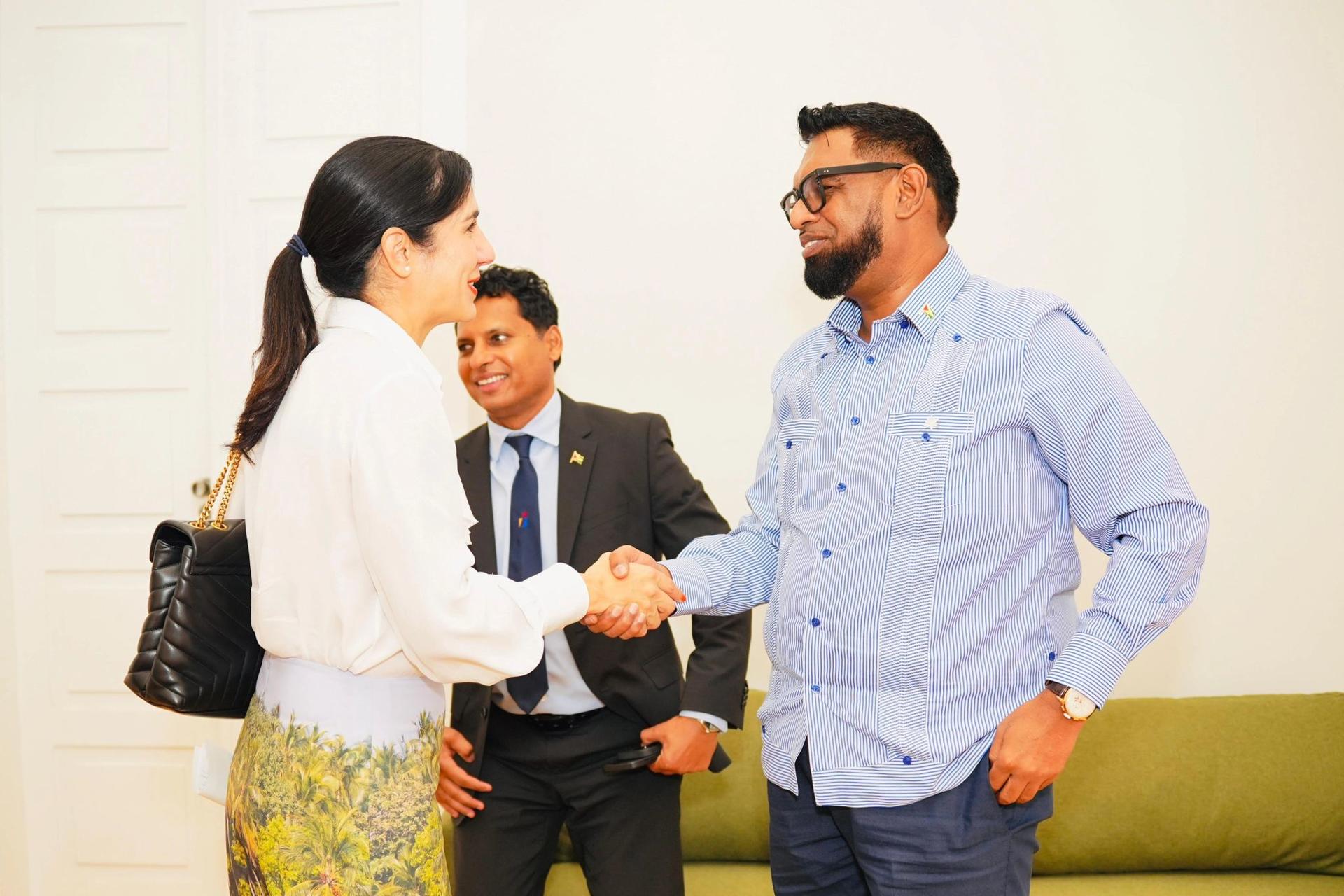 Four people in a bright room; two men shake hands while a woman in a floral skirt watches.