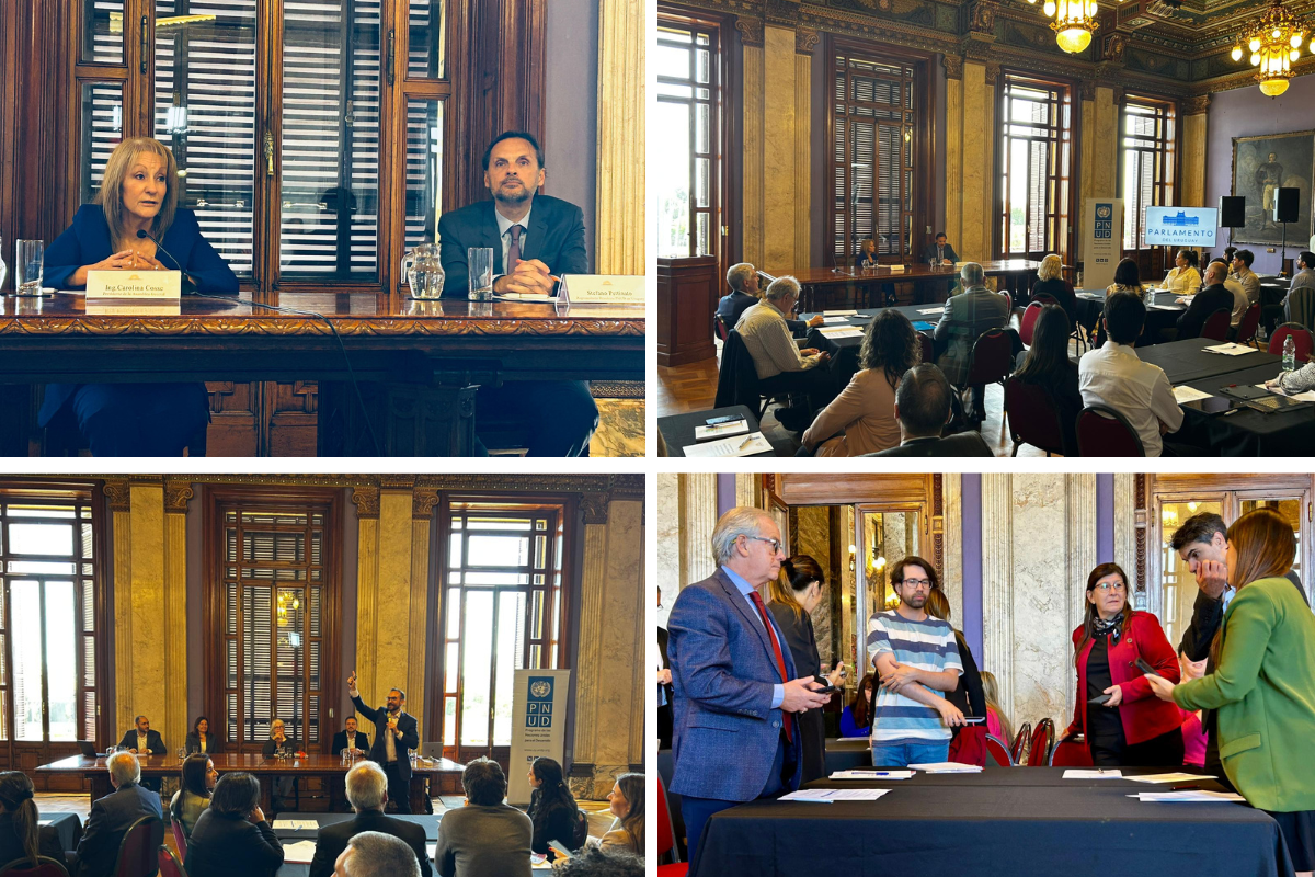 Collage from public hearing: panel at desks, crowded wood-paneled chamber, and presenters.
