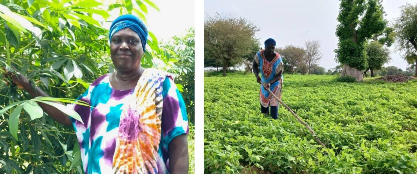 Two photos of a man in a farm field; left by banana plants in a tie-dye shirt, right among crops.