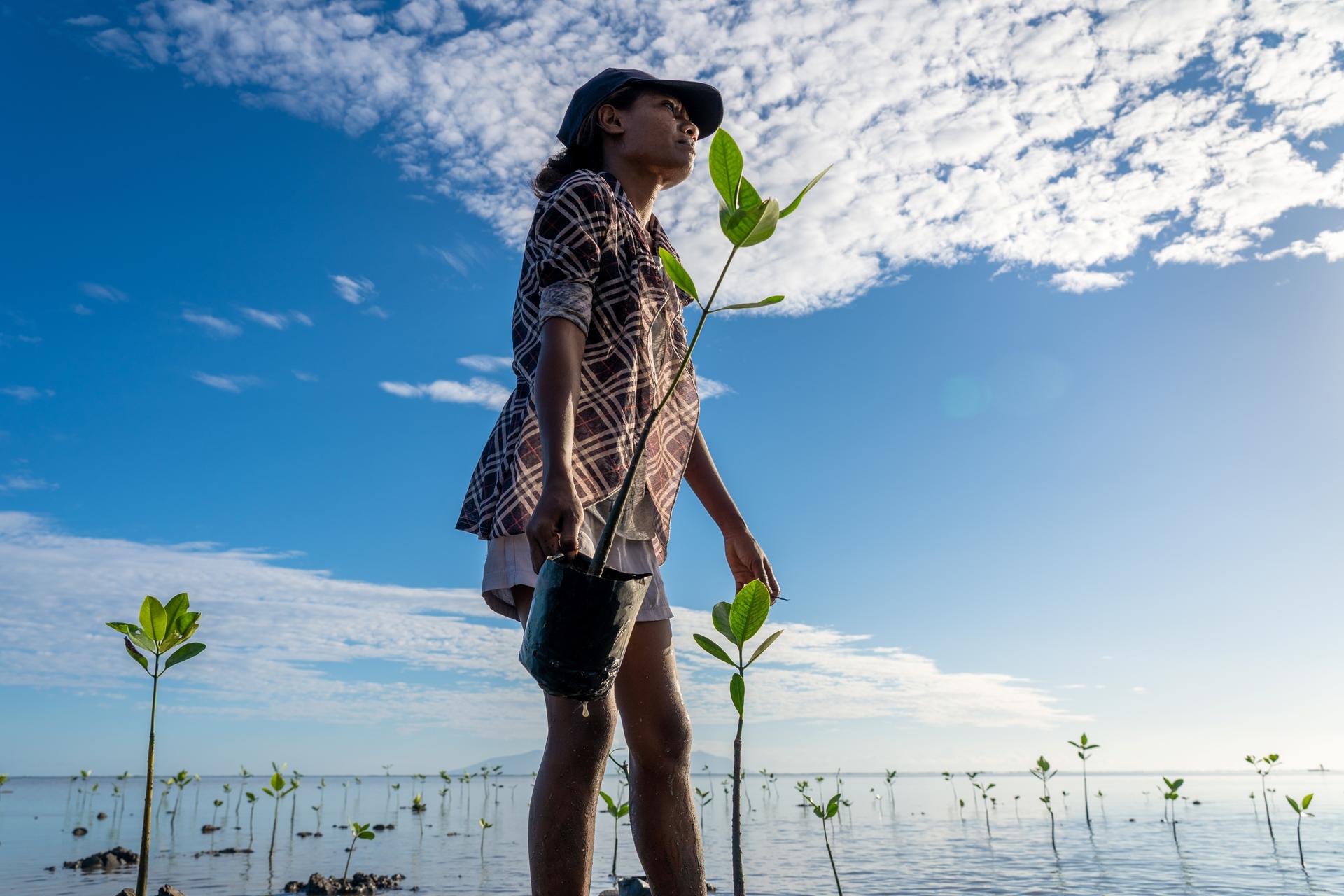Young woman walks through shallow tropical water; blue sky with white clouds and palm trees.
