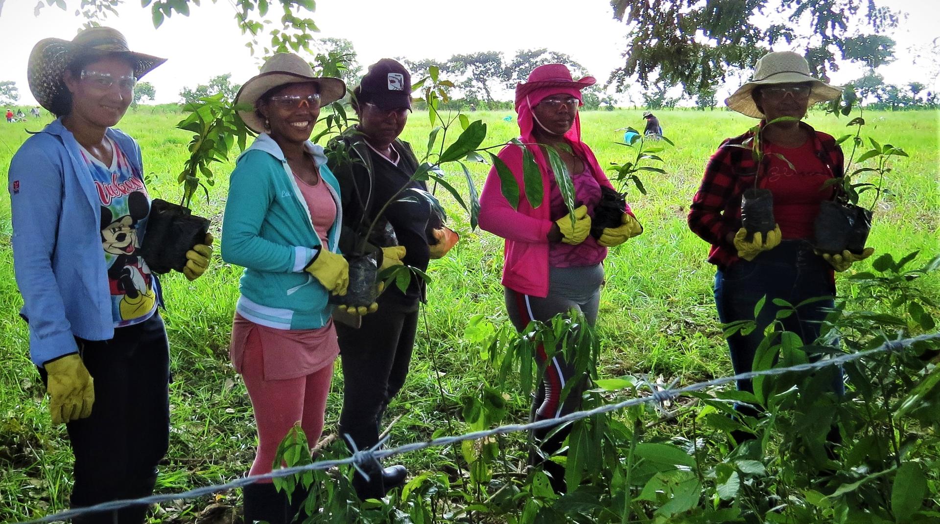 Photo: group of farmers in colorful jackets and hats in a leafy field near a barbed-wire fence.