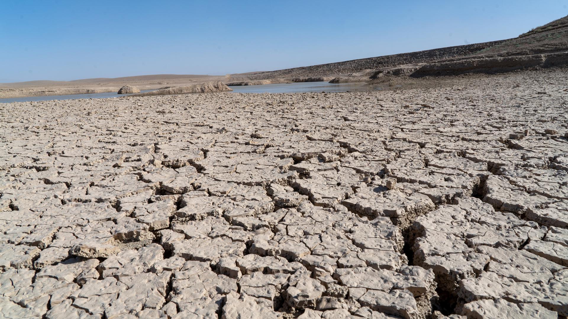 Parched, cracked desert lakebed with distant hills and a blue sky.