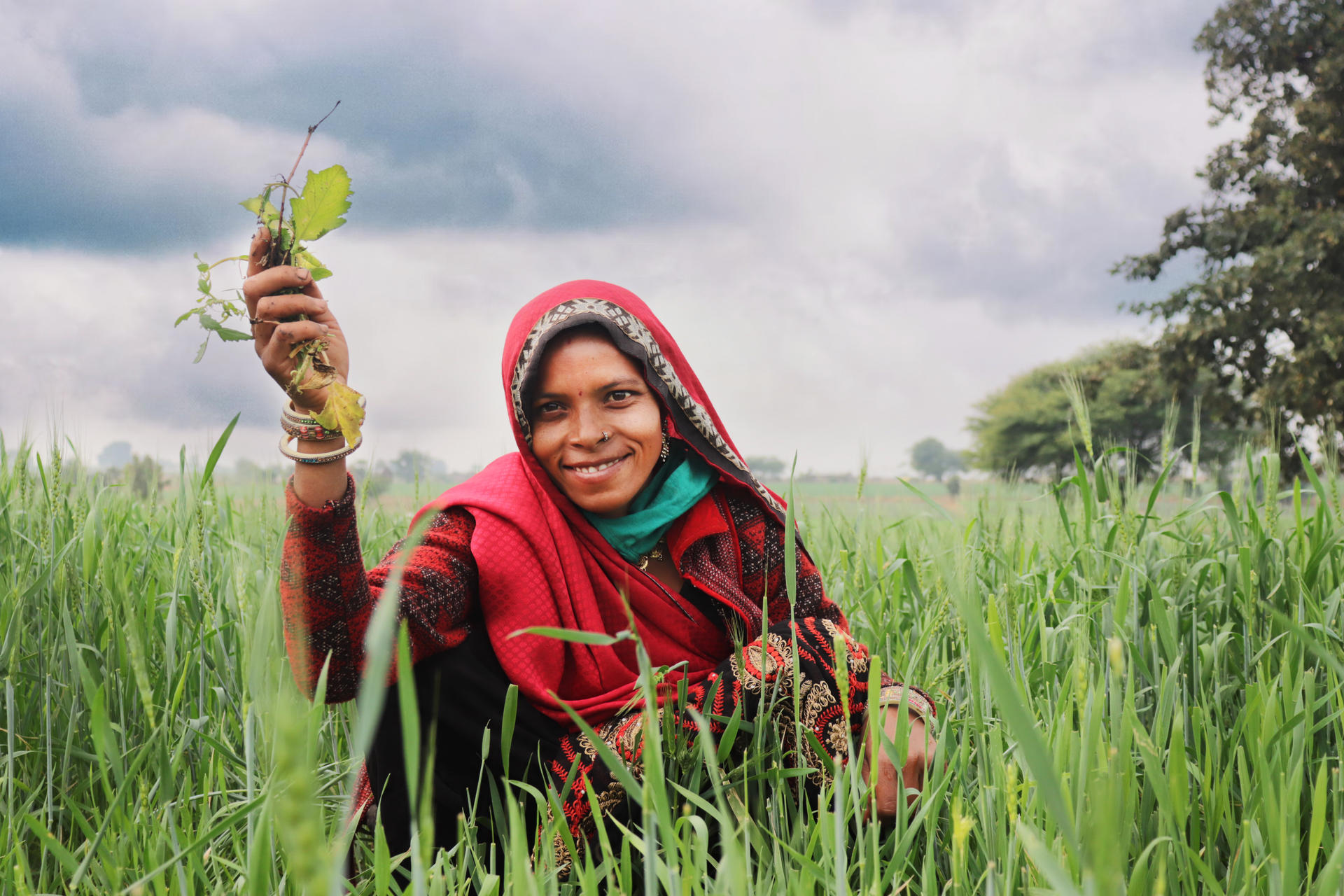 Person in red hijab holding a leaf in a green crop field under a cloudy sky.