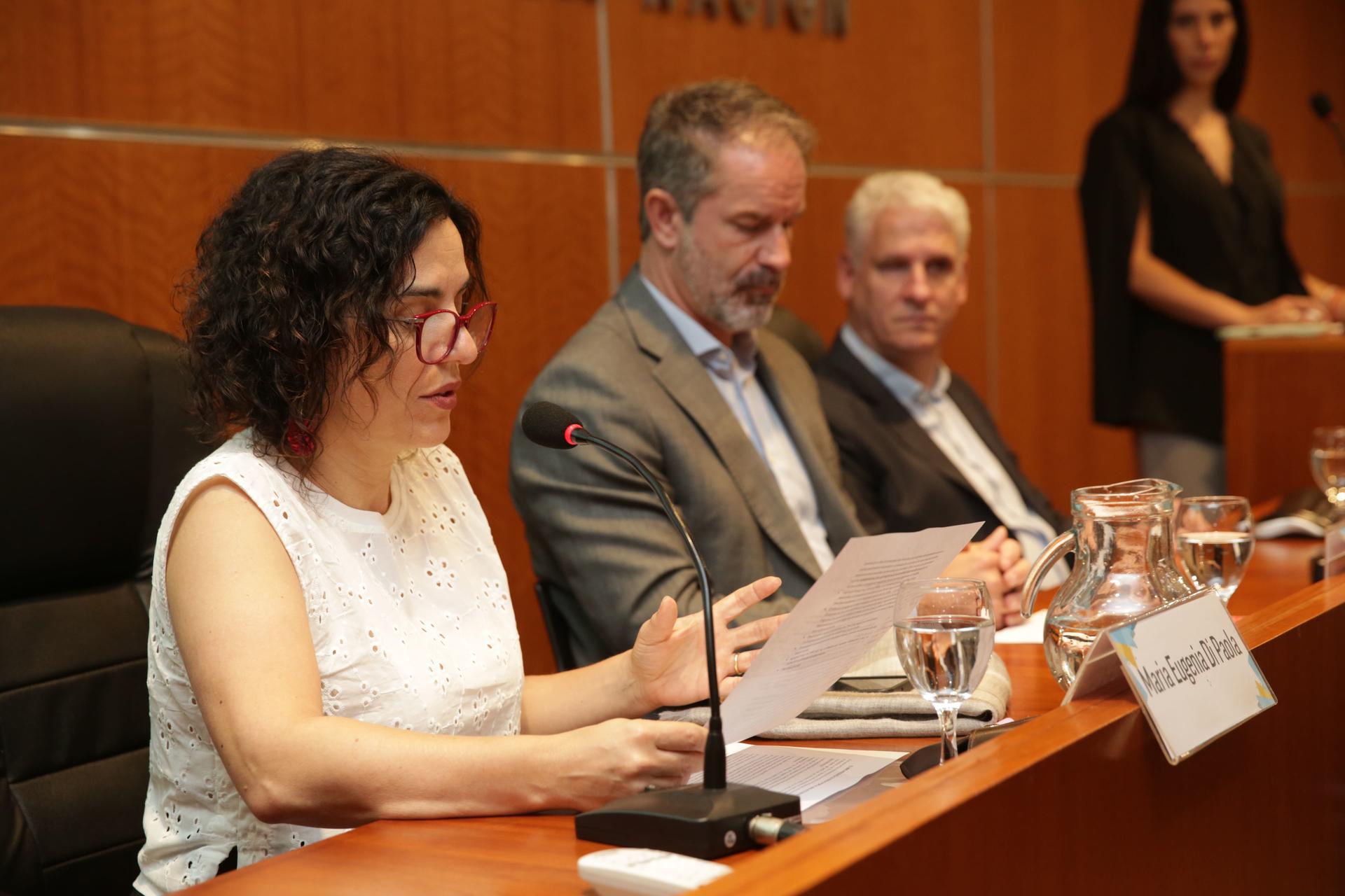 Panelists seated at a long conference table with microphones and nameplates.