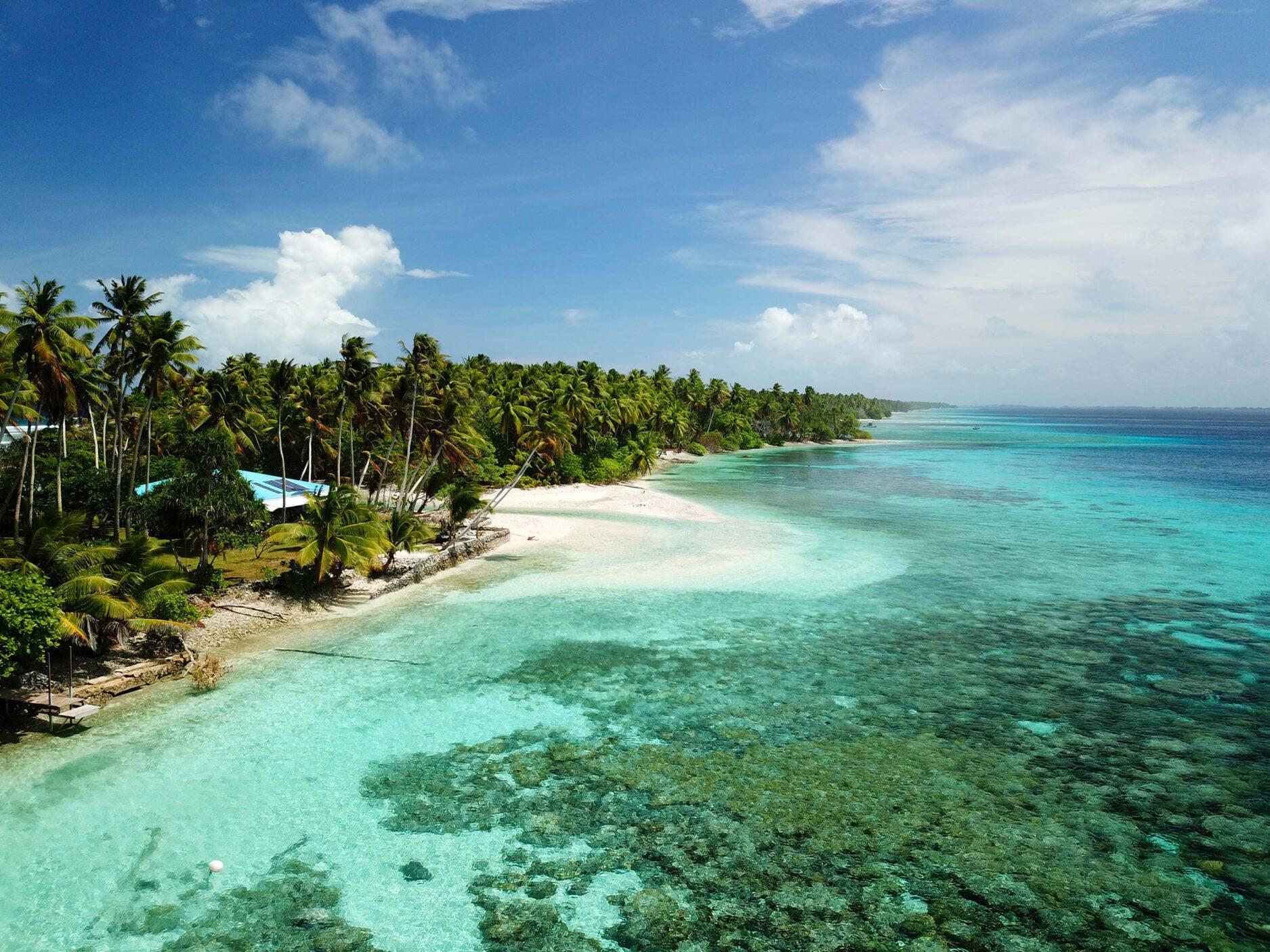 Island coastline with palm trees, white sand, and turquoise water.