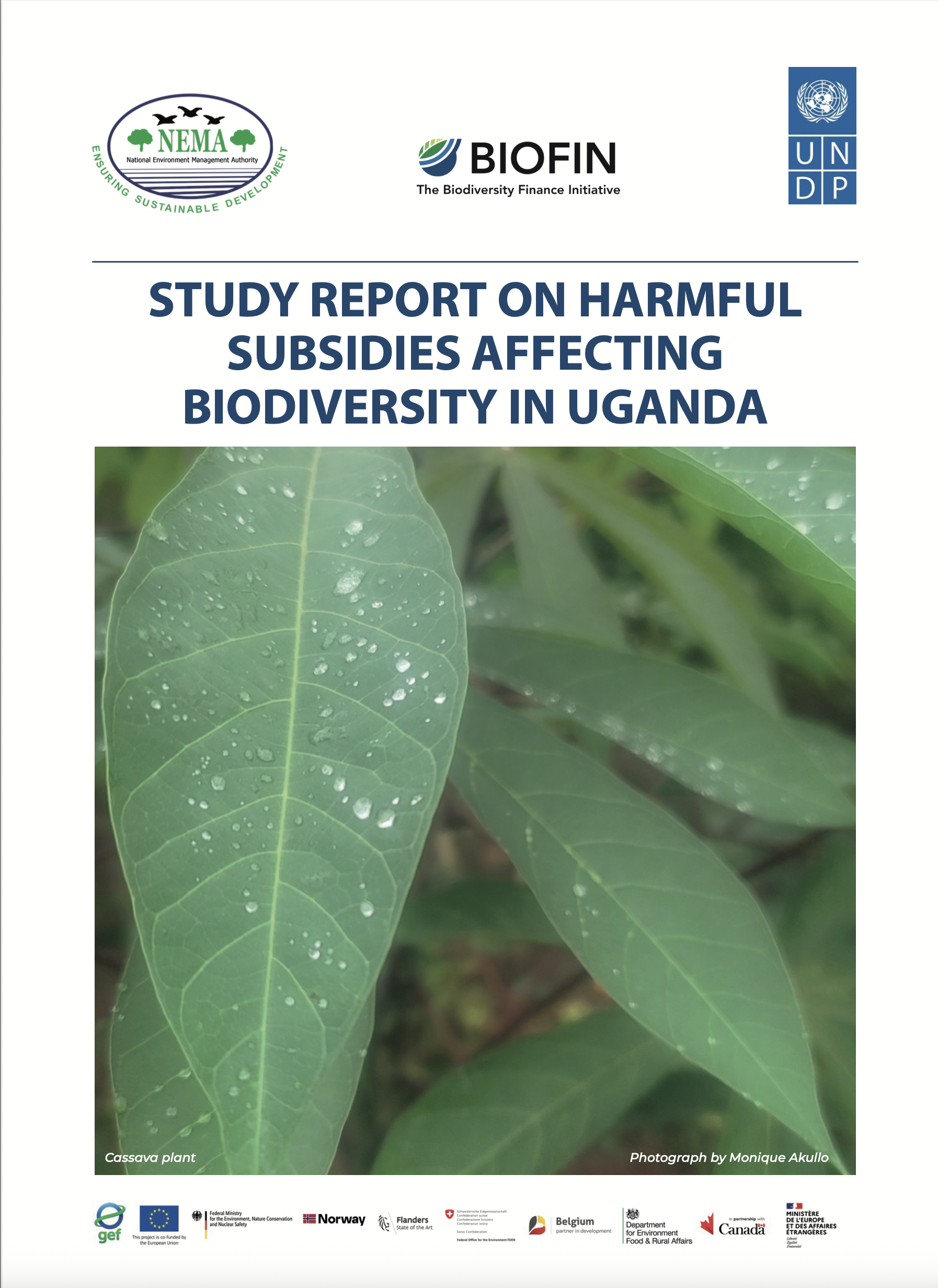 Cover page of study report on harmful subsidies affecting biodiversity in Uganda