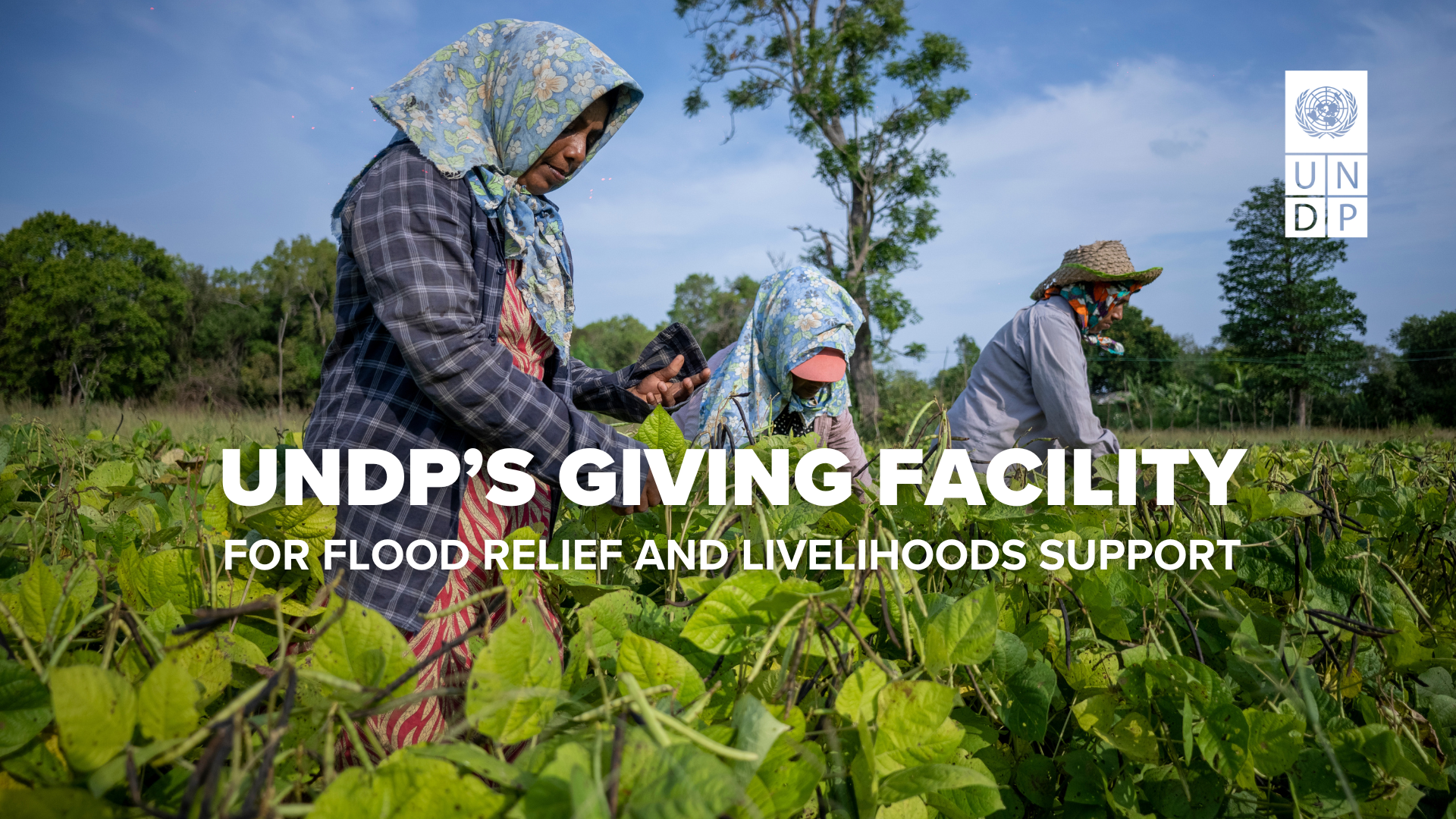 UNDP Giving Facility 2.0