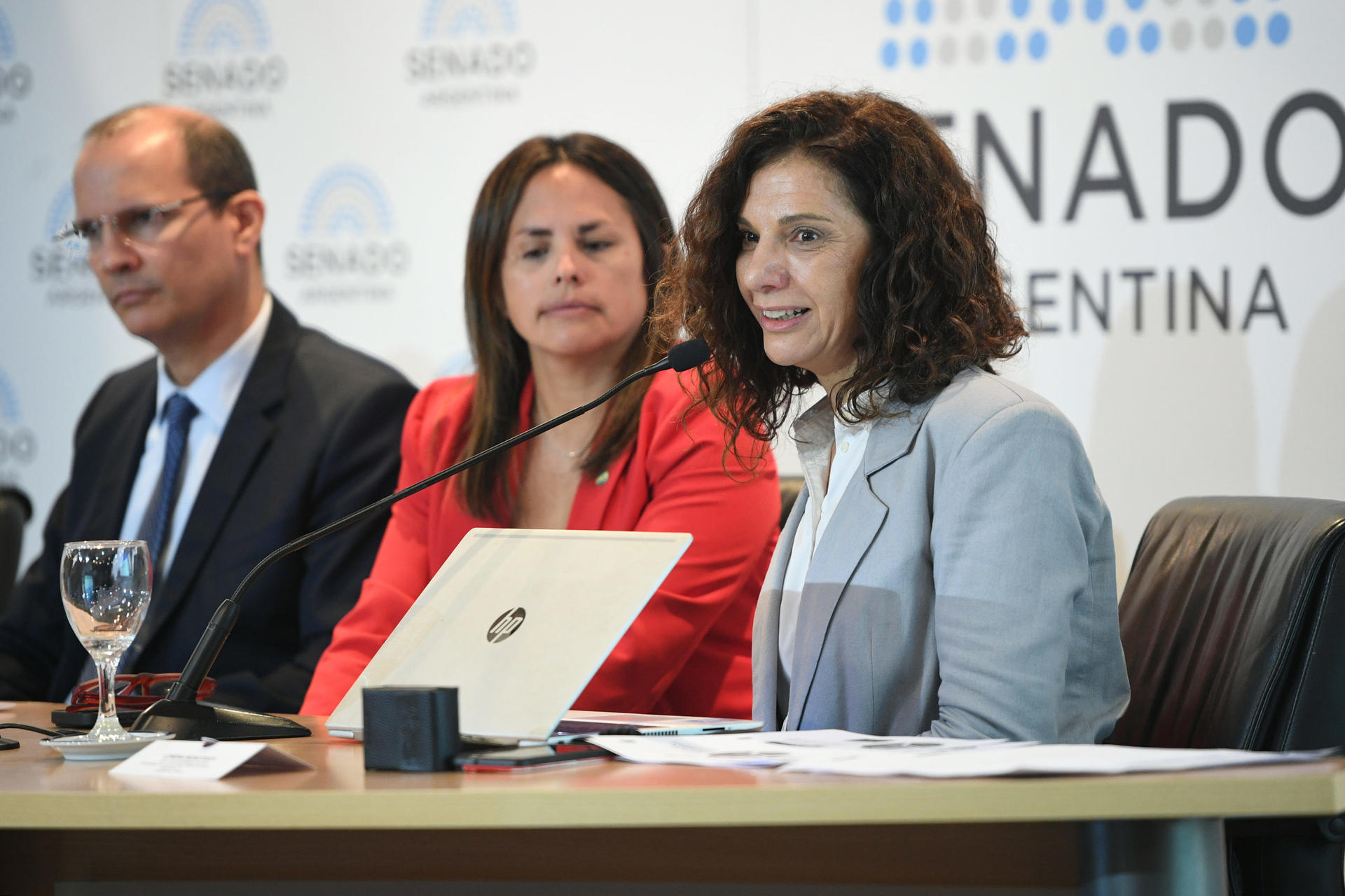 Three people sit at a conference table with papers; backdrop shows SENADO ARGENTINA.