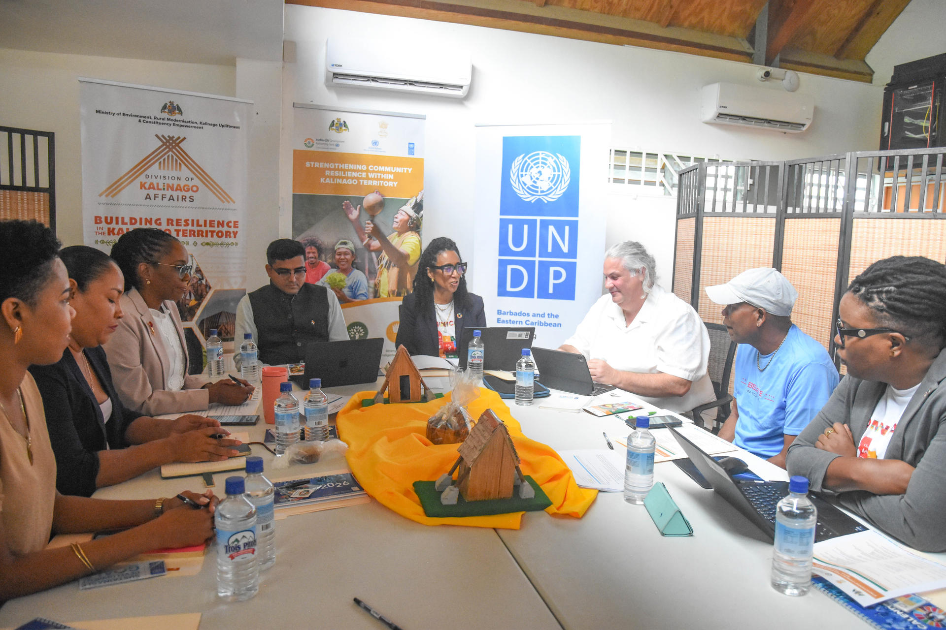 Group of people seated around a conference table with UNICEF and UNDP banners in a meeting room.