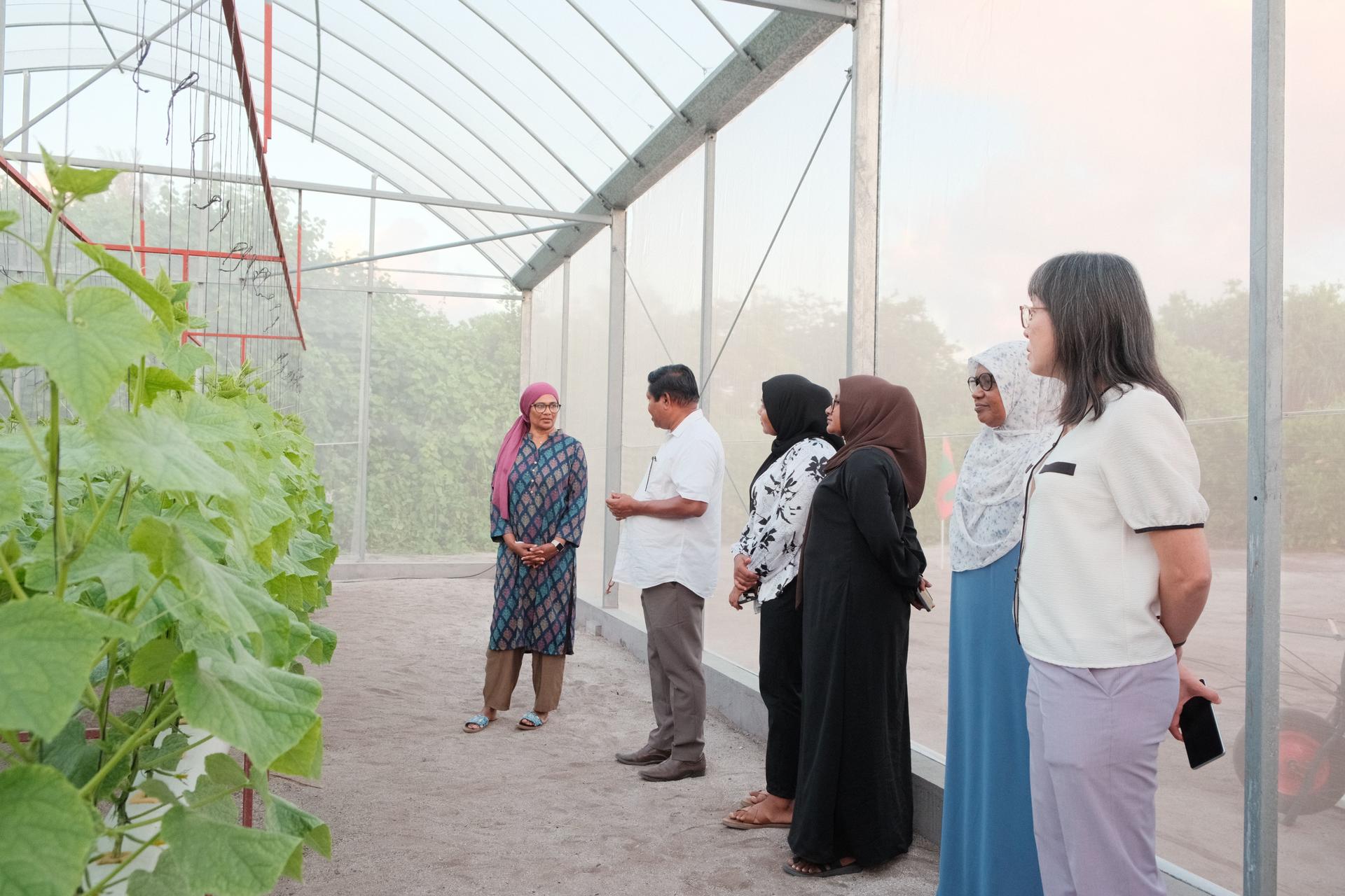 Group of people on a greenhouse tour, standing along a glass wall and observing plants.
