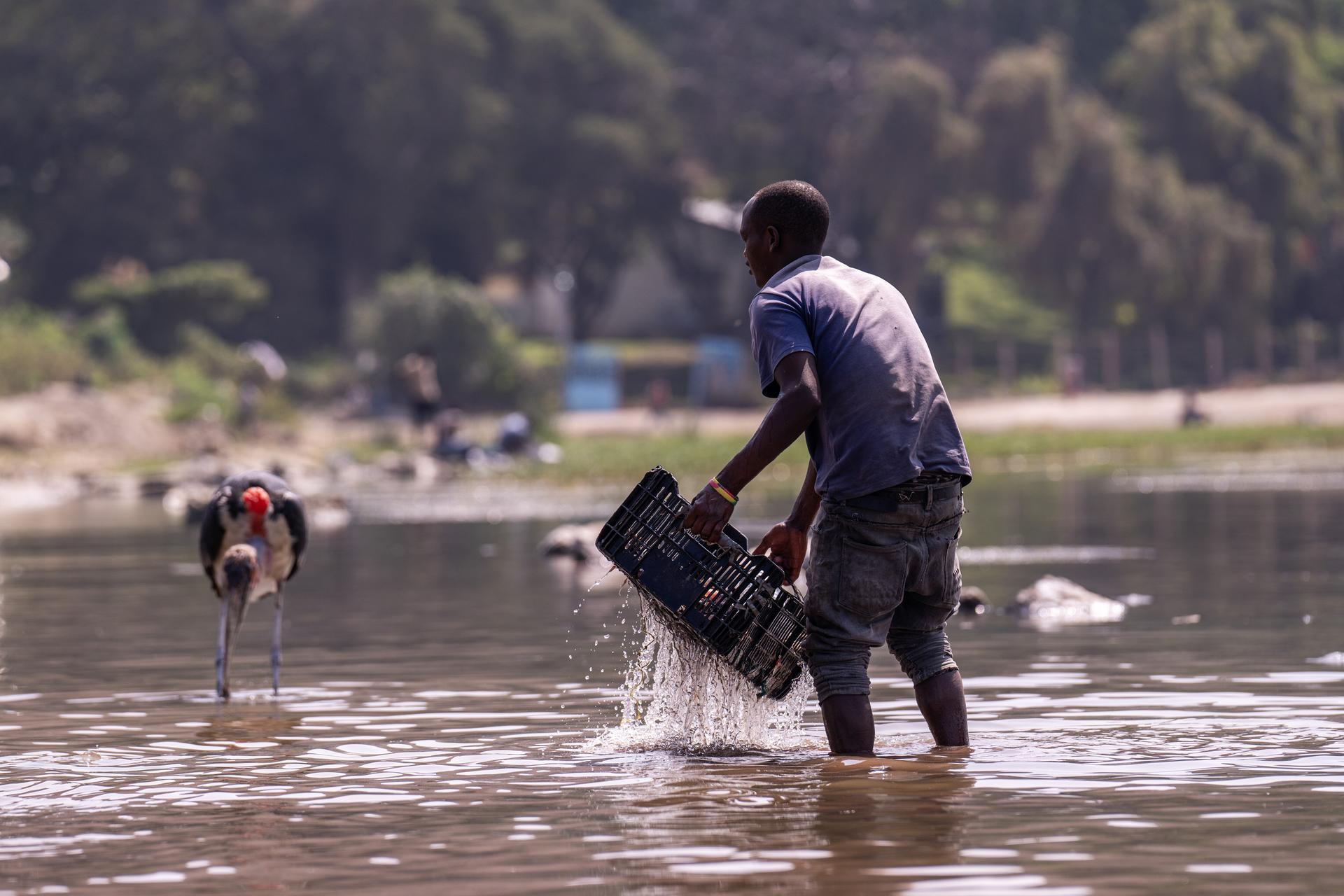 Photo: Man wades in a shallow river with a basket; distant figure in the background.