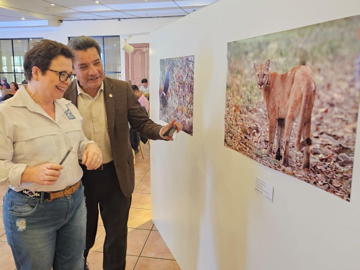 Two men in a gallery observe large photographs mounted on a white wall.